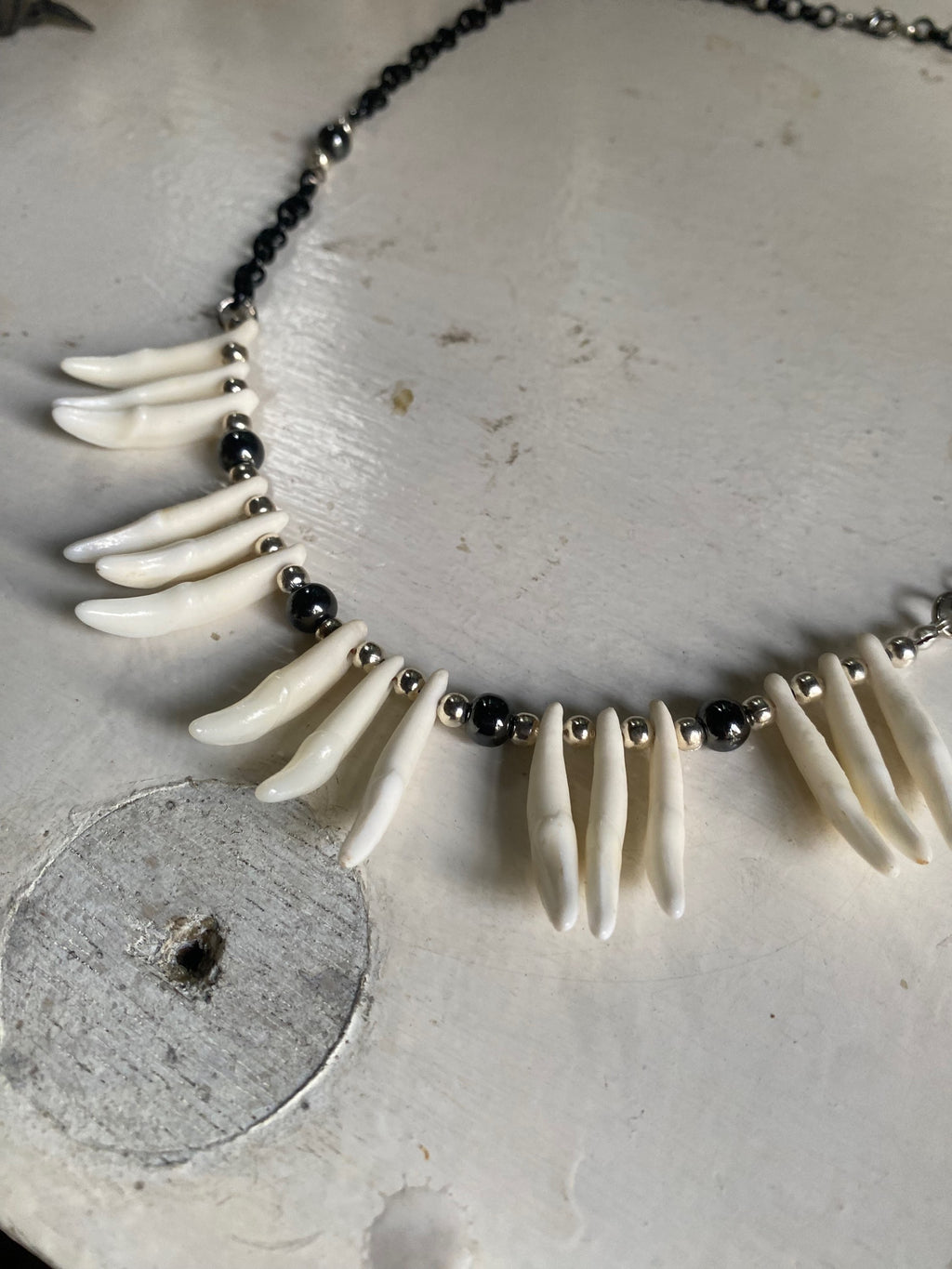 Coyote Teeth and Black Chain Necklace image 3