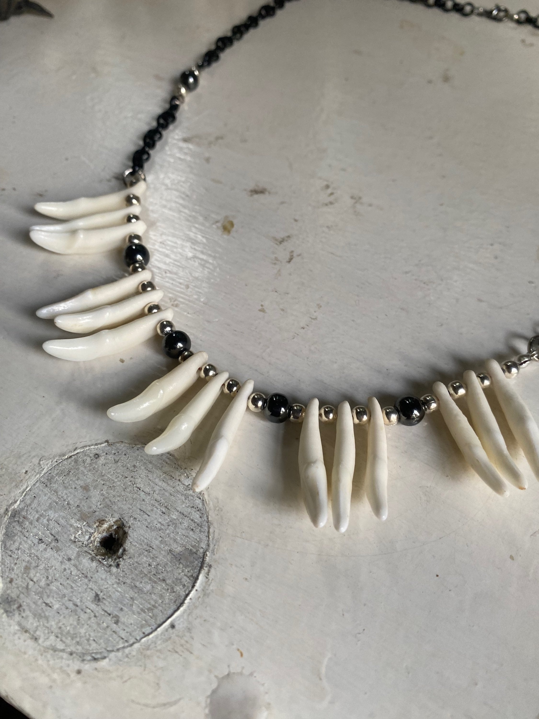 Coyote Teeth and Black Chain Necklace image 3