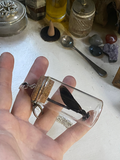 Dragonfly in Glass Jar Necklace image 0