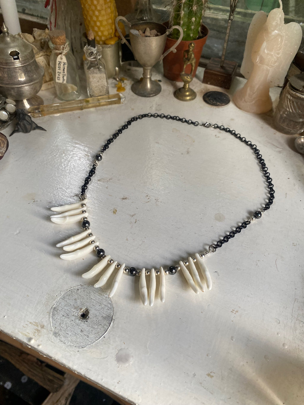Coyote Teeth and Black Chain Necklace image 0