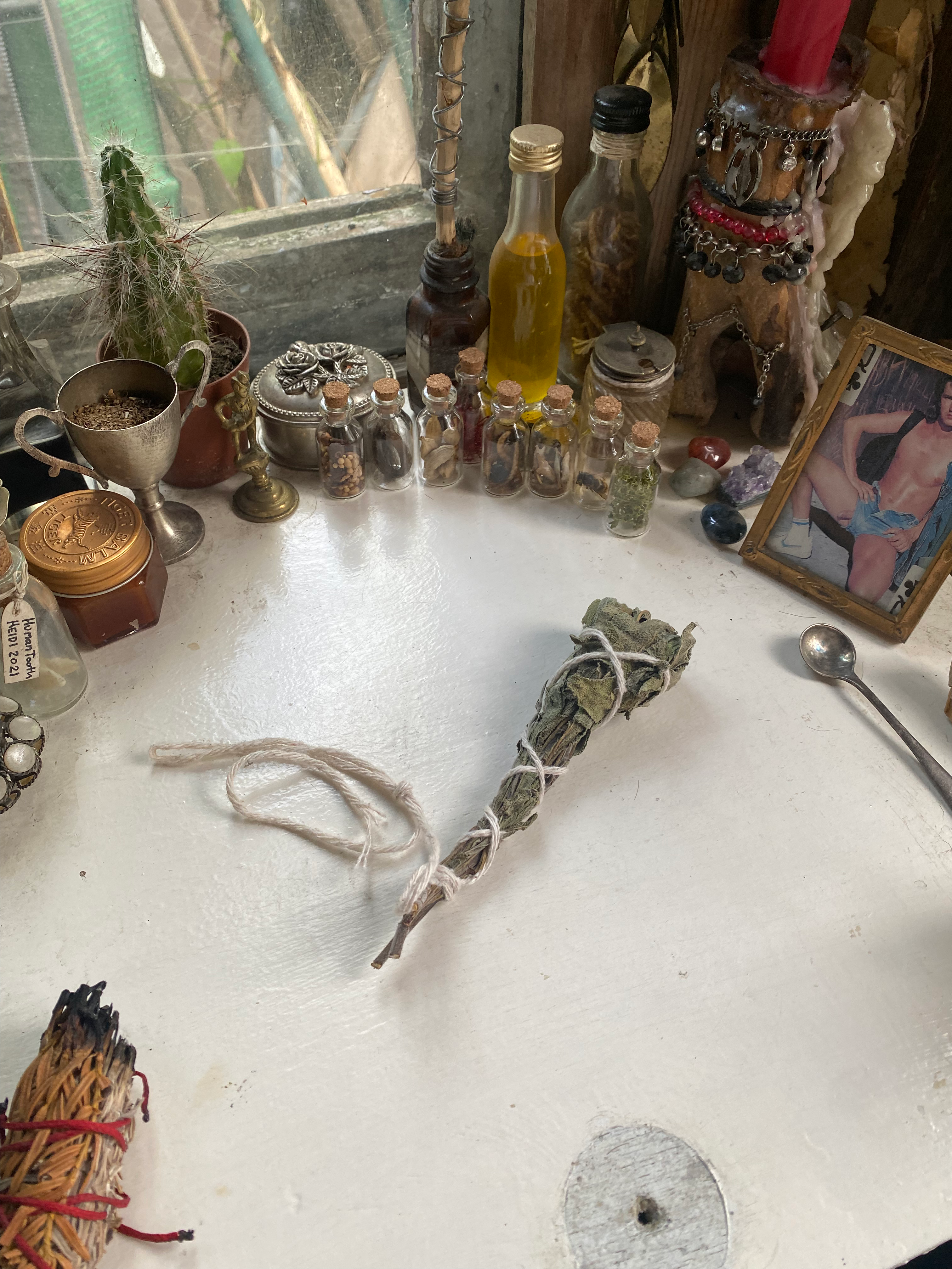 Homegrown Sage Smudge Stick image 0