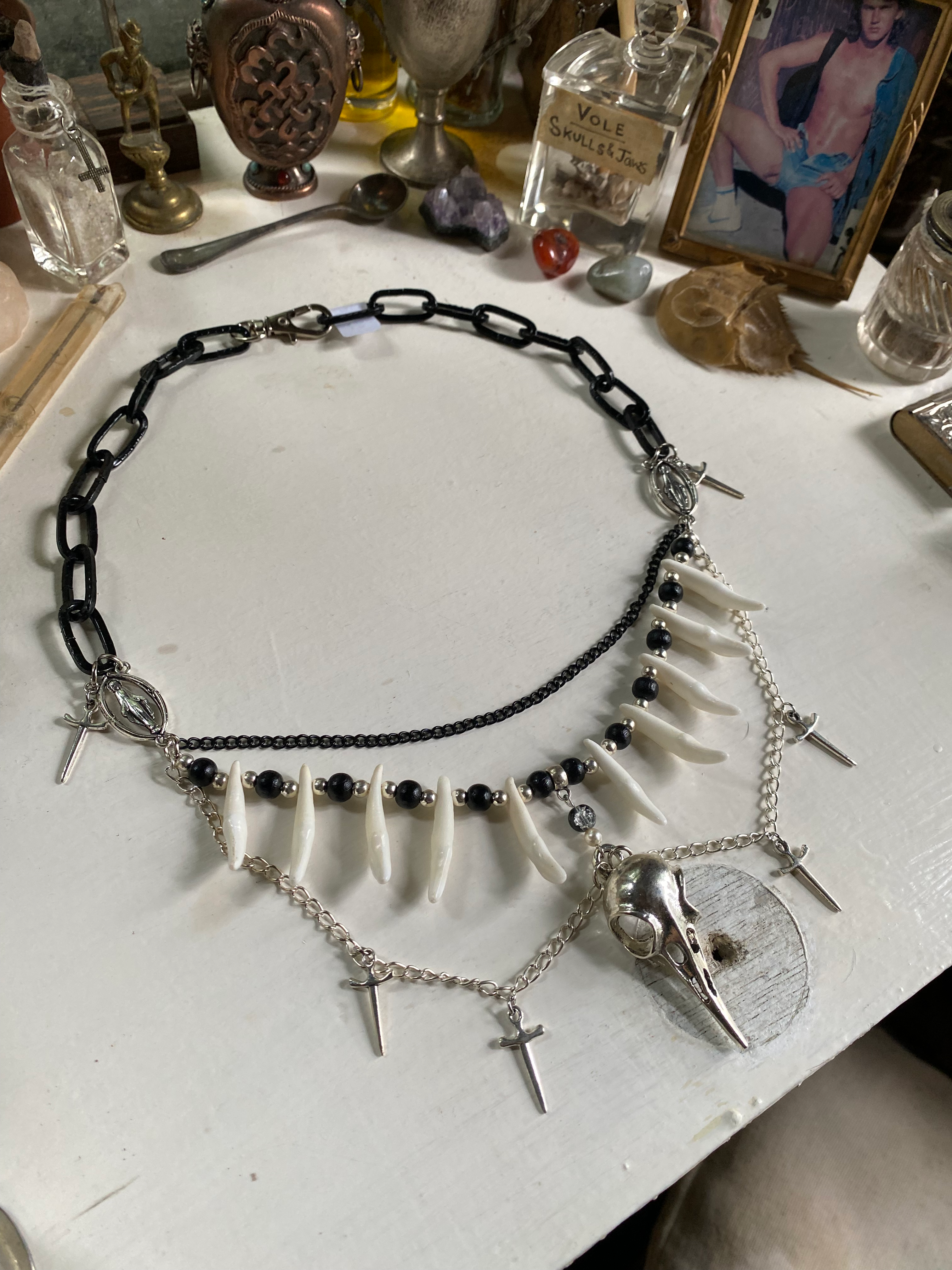 Coyote Teeth, Bird Skull and Chunky Black Chain image 0