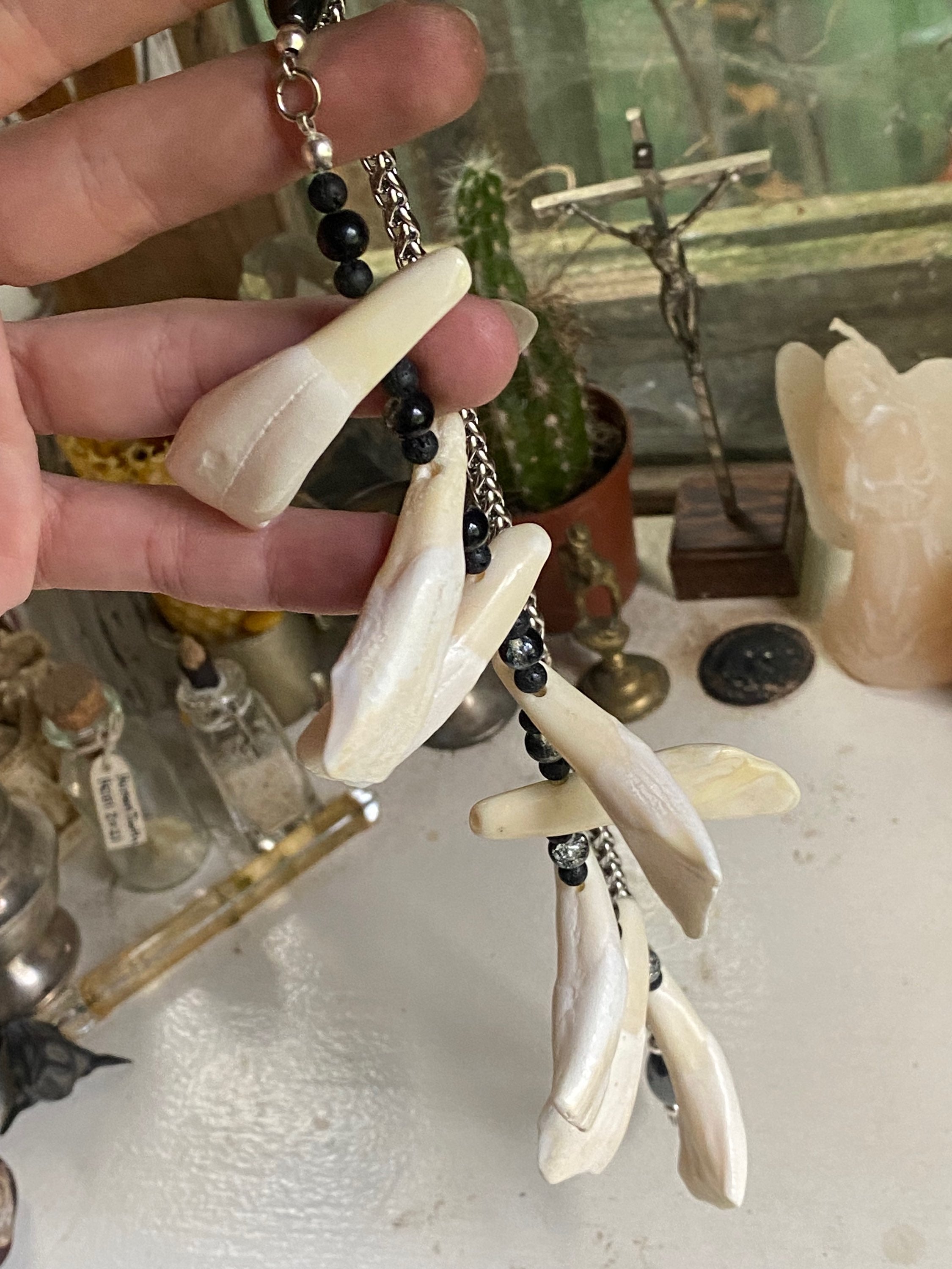 Large Buffalo Teeth Necklace image 3