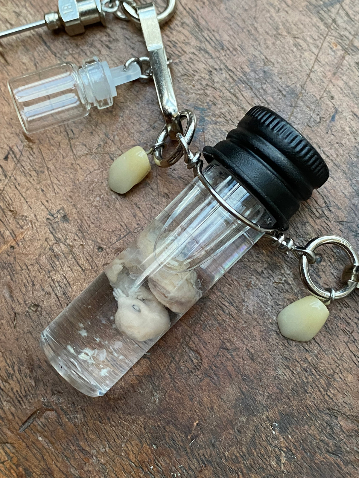 Fetal Rabbit Wet Specimen, Vials, Syringes and Teeth Necklace
