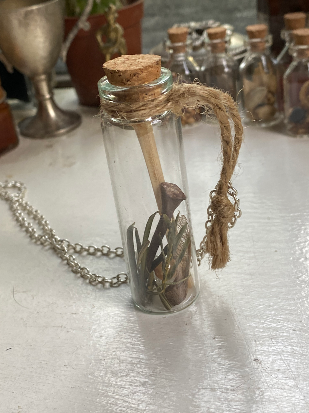 Horseshoe Nail Spell Jar Necklace image 3