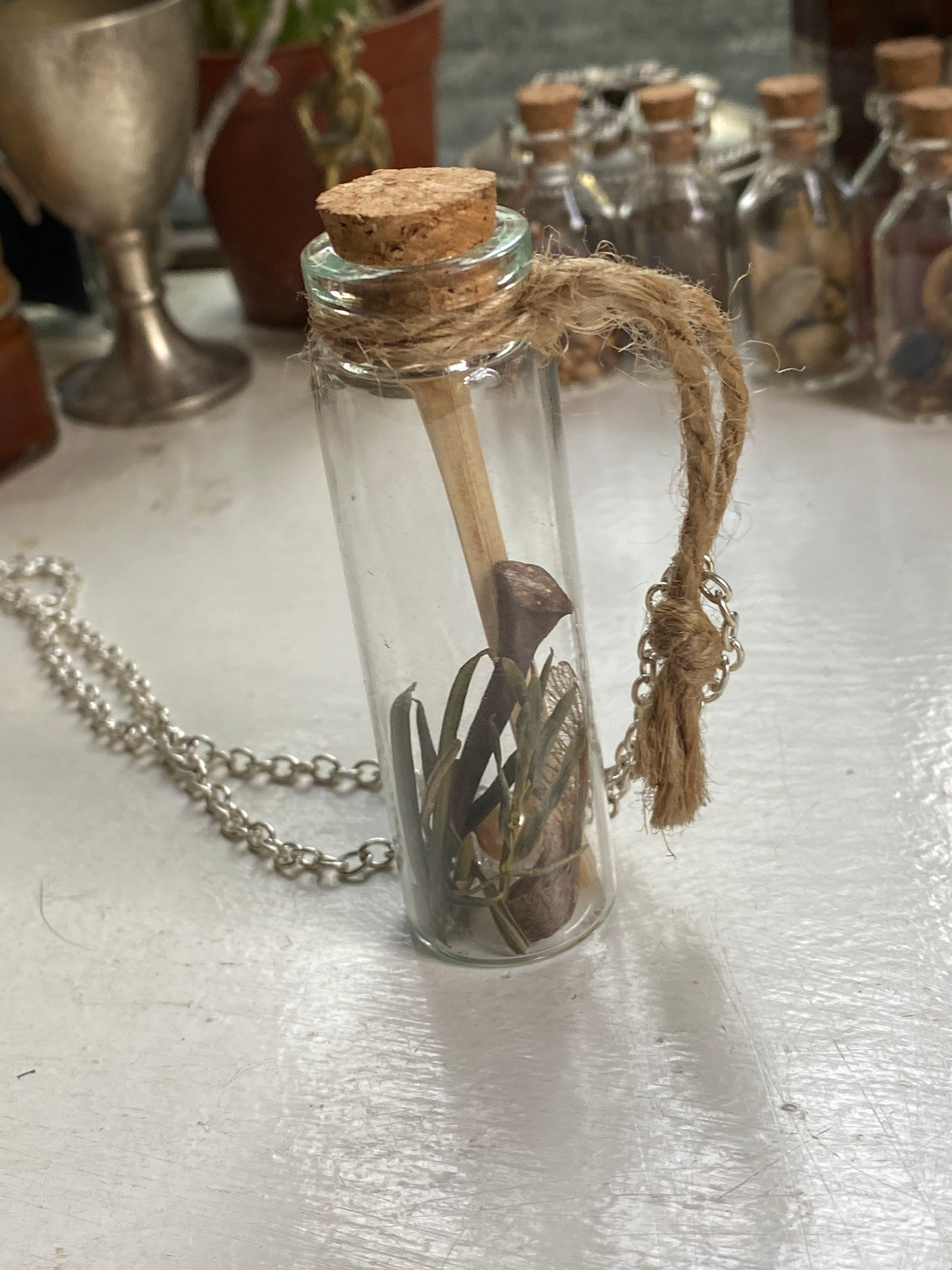 Horseshoe Nail Spell Jar Necklace image 3