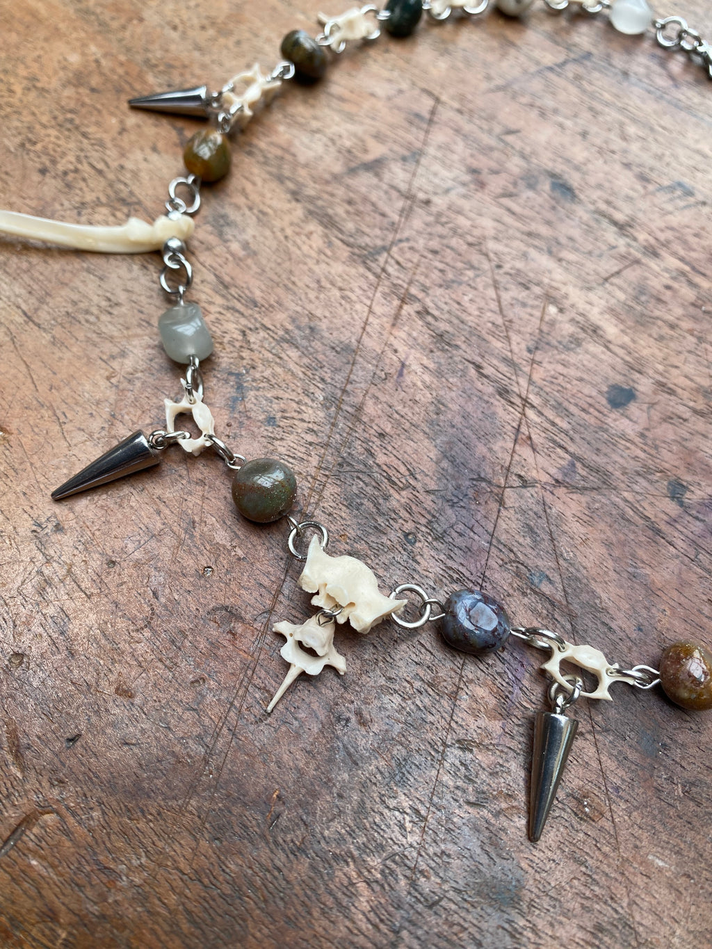 Indian Agate, Squirrel Vertibrae and Femurs Necklace