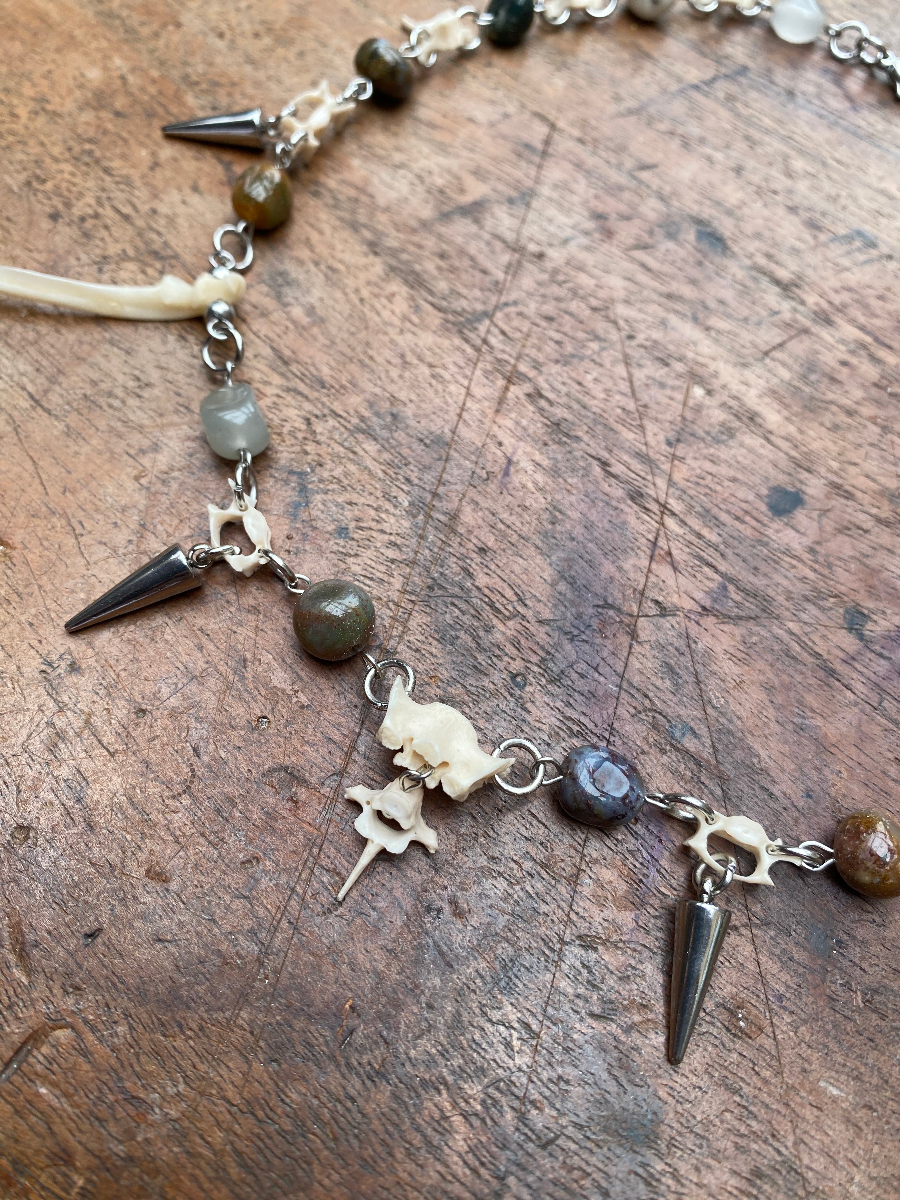 Indian Agate, Squirrel Vertibrae and Femurs Necklace