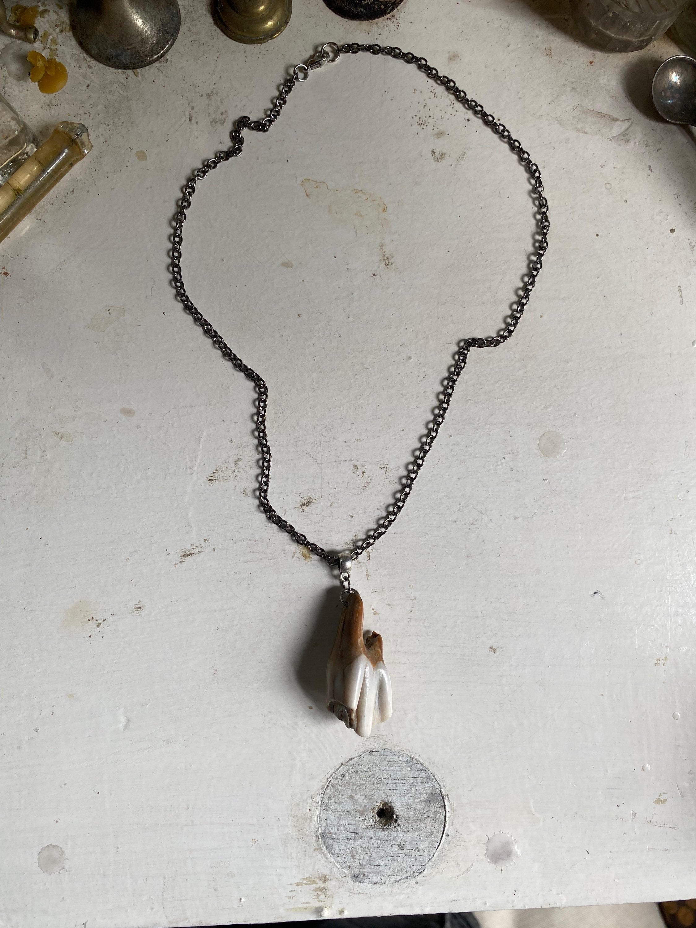 Large Fossilised Tooth from Thames on a Chain image 0