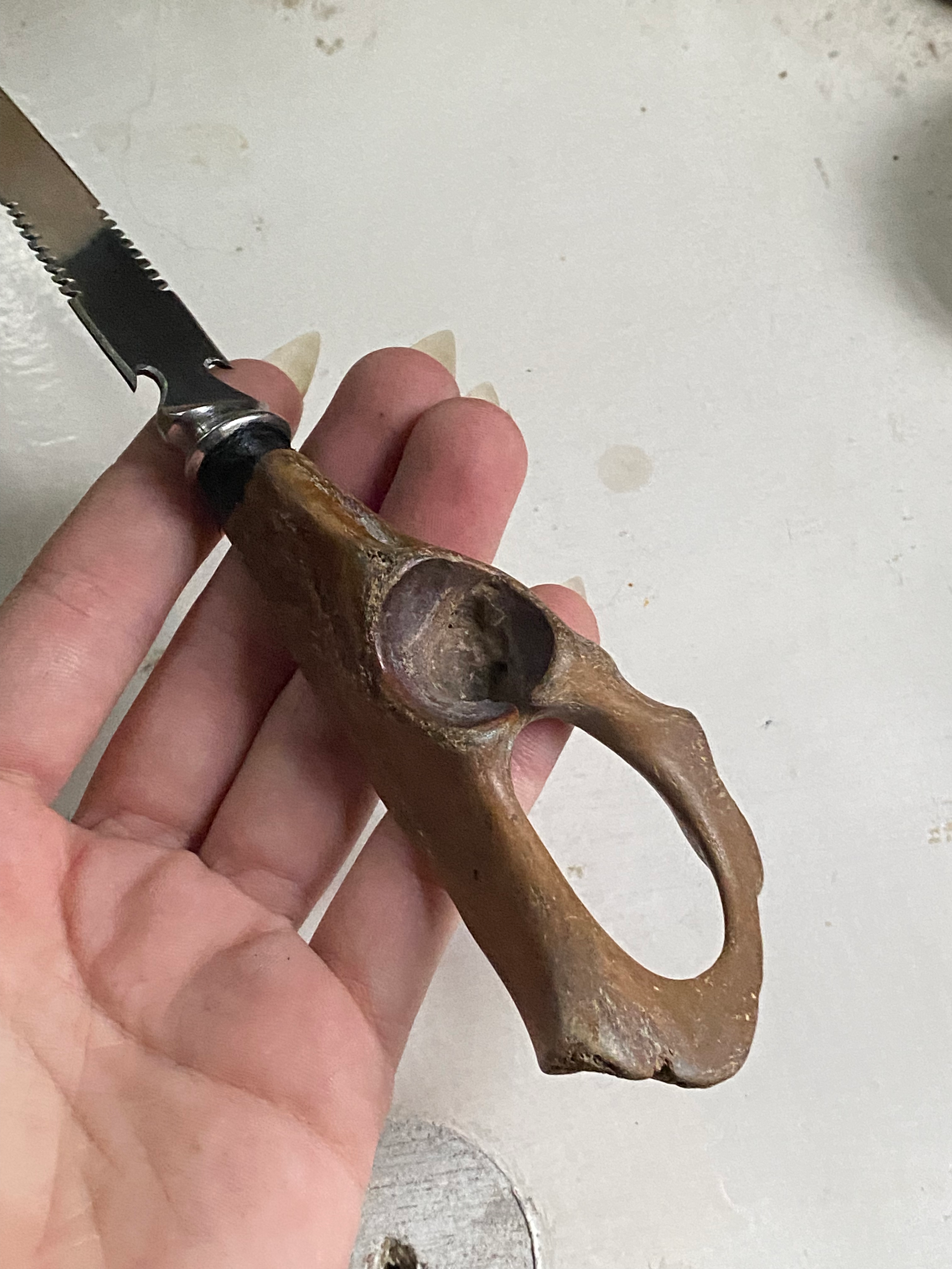 Hip Bone Symmetrical Blade Dagger image 4