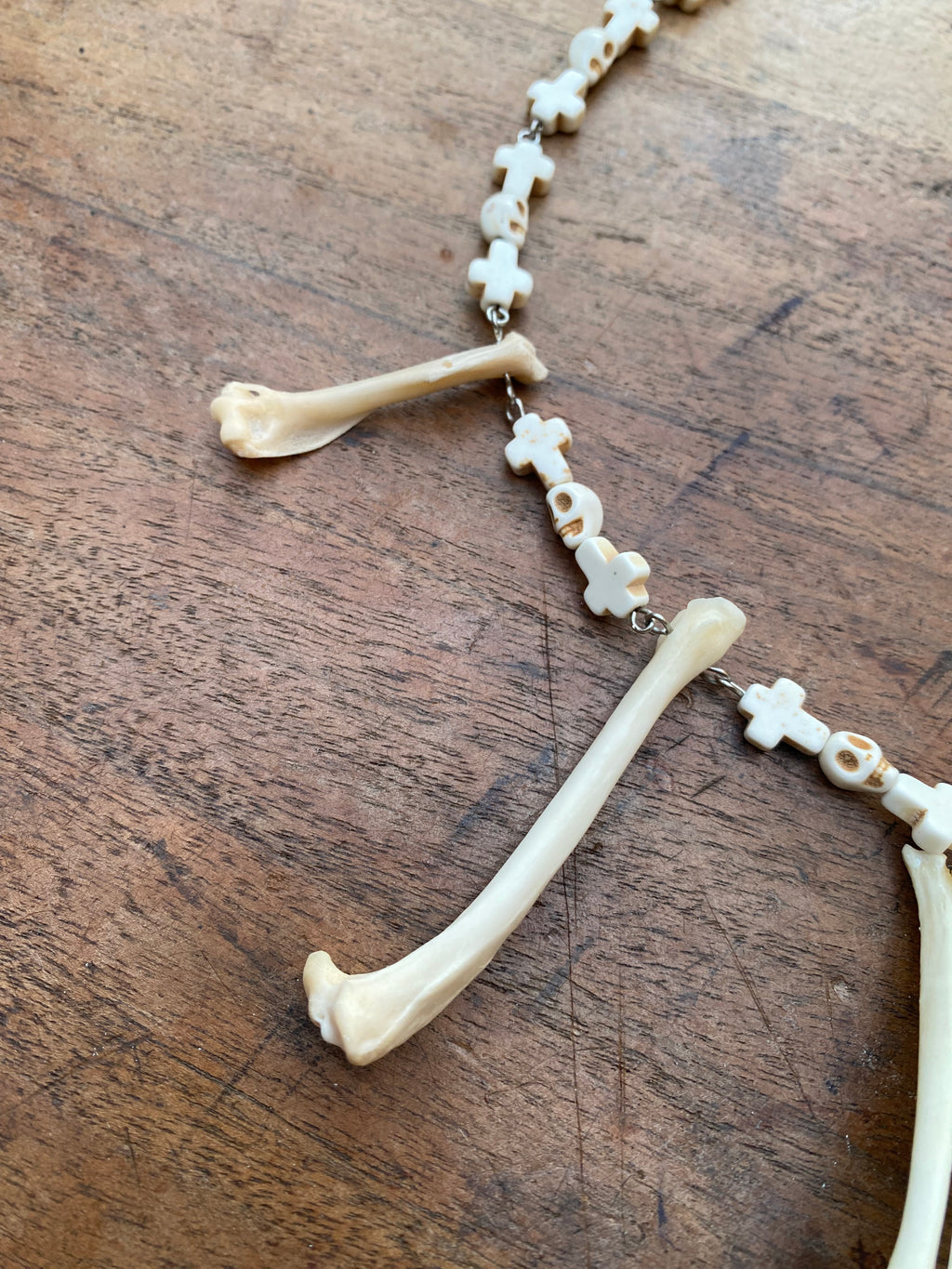 Fox Paw Bones and Squirrel Femurs Necklace