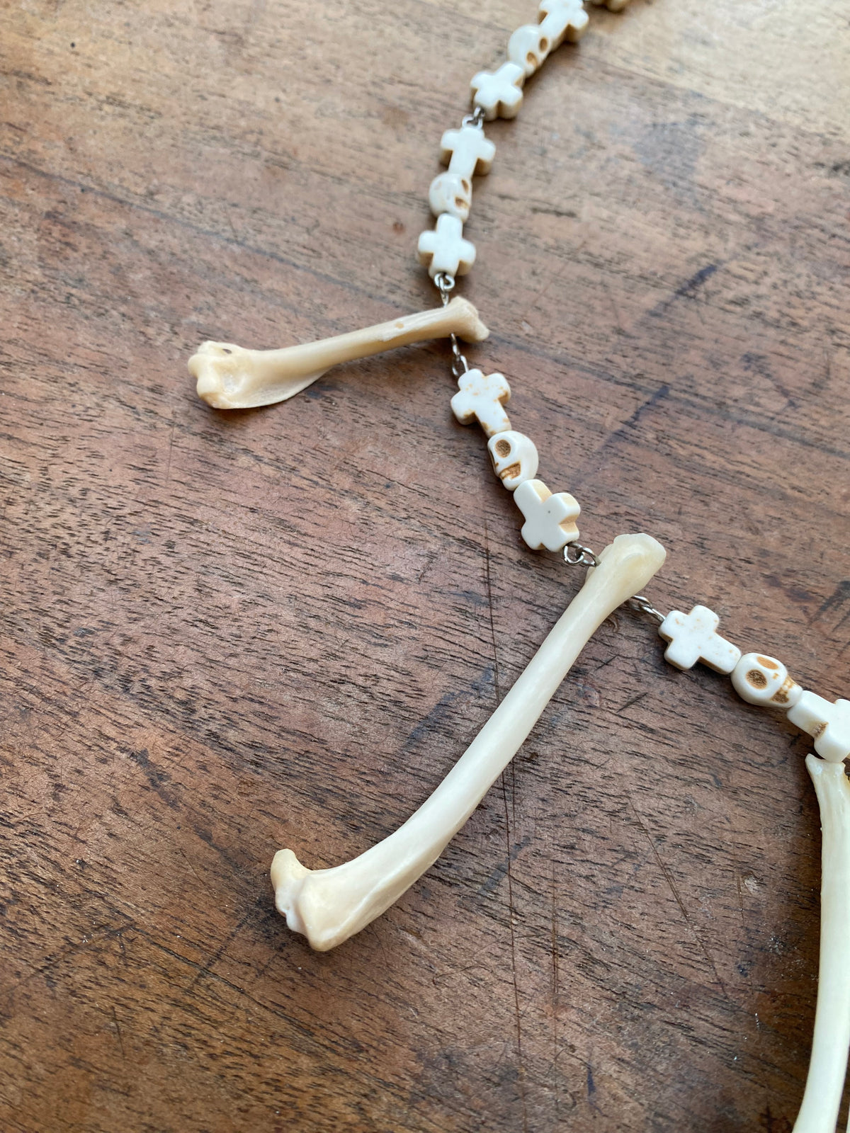 Fox Paw Bones and Squirrel Femurs Necklace