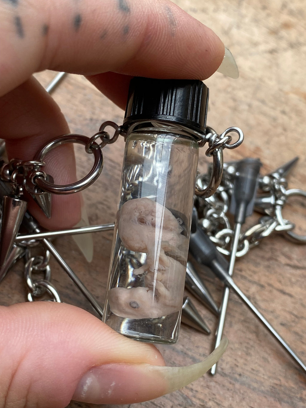 Fetal Rabbit Wet Specimen and Syringe Needles Necklace