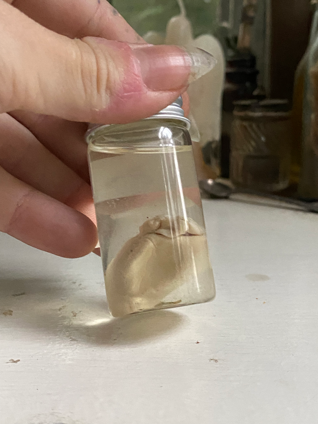 Rabbit Heart in a Small Jar image 2