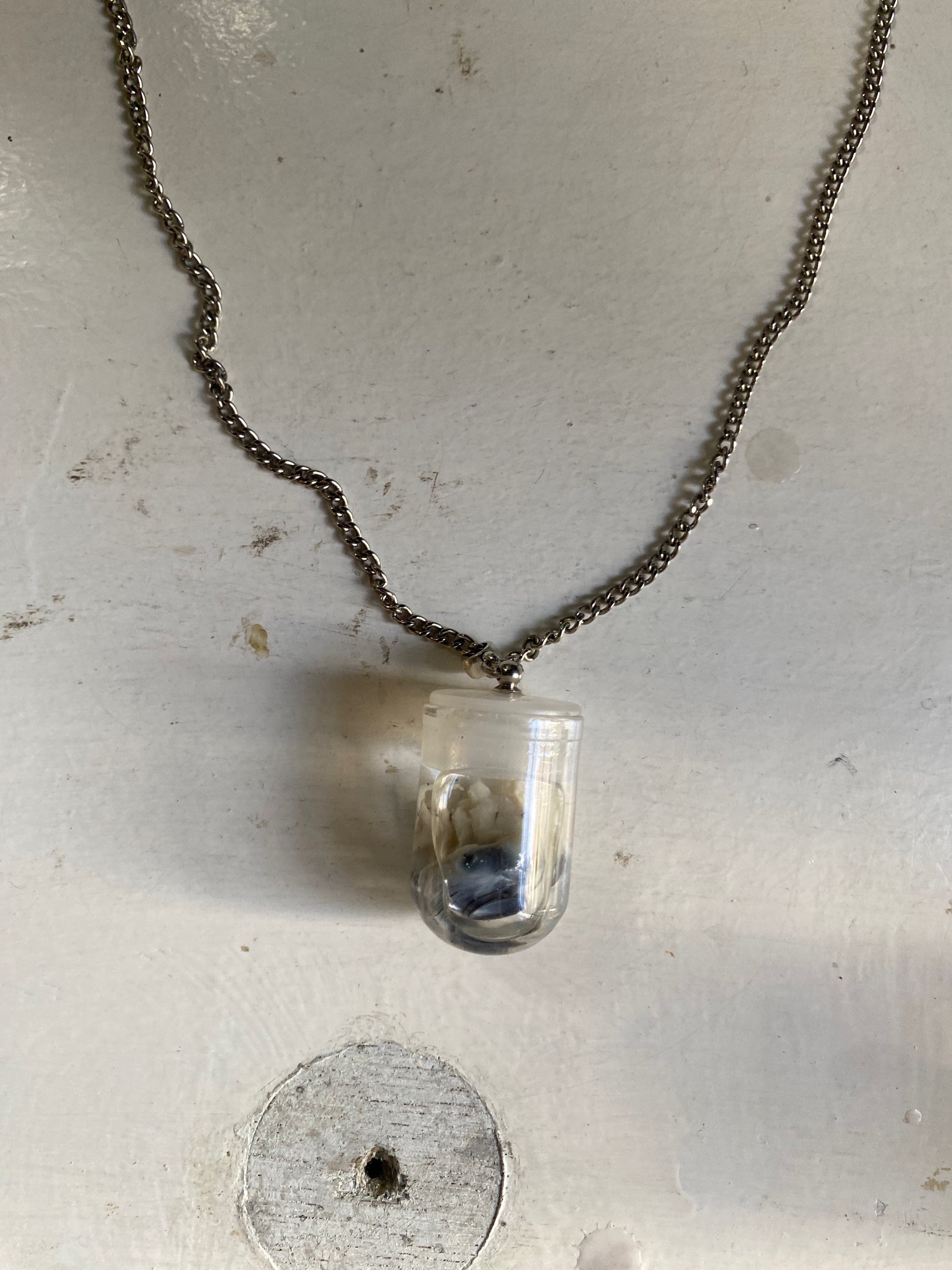 Crow Eyeball Wet Specimen on a Chain image 2