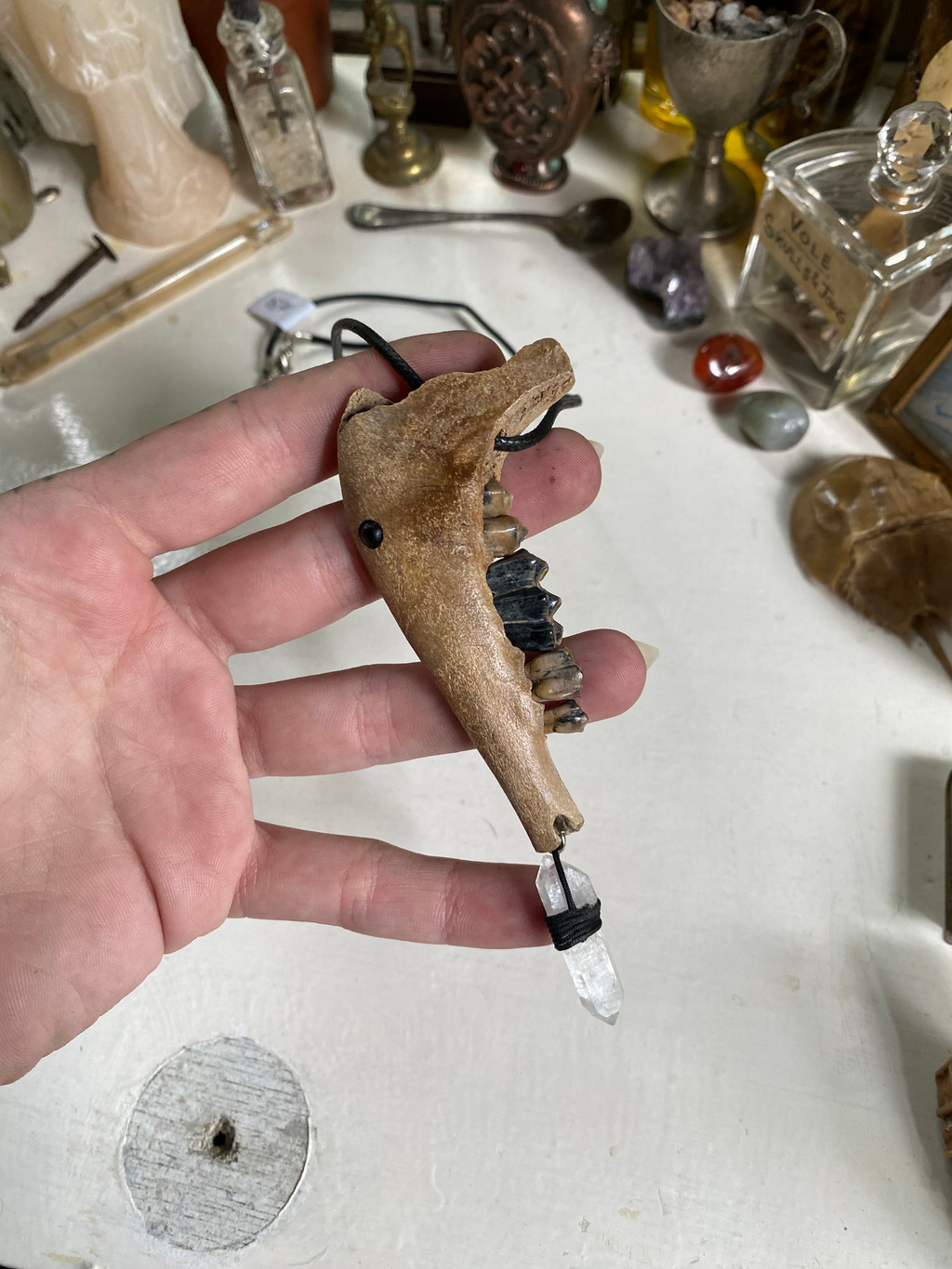 Baby Deer Jaw with Clear Quartz Necklace image 0