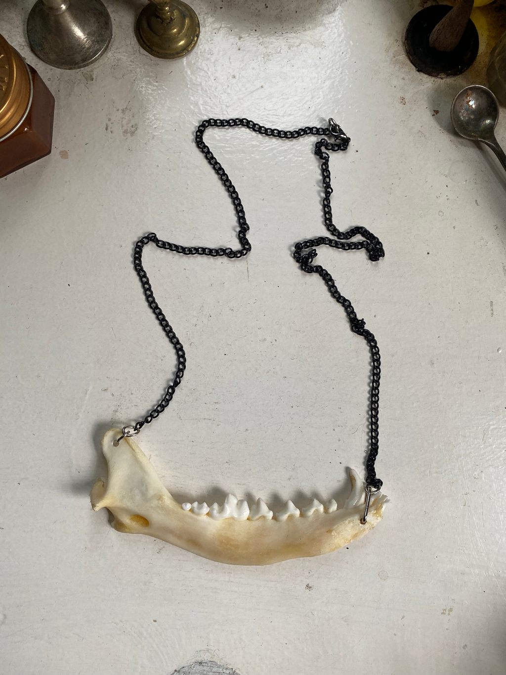 Fox Jaw Bone Necklace image 2