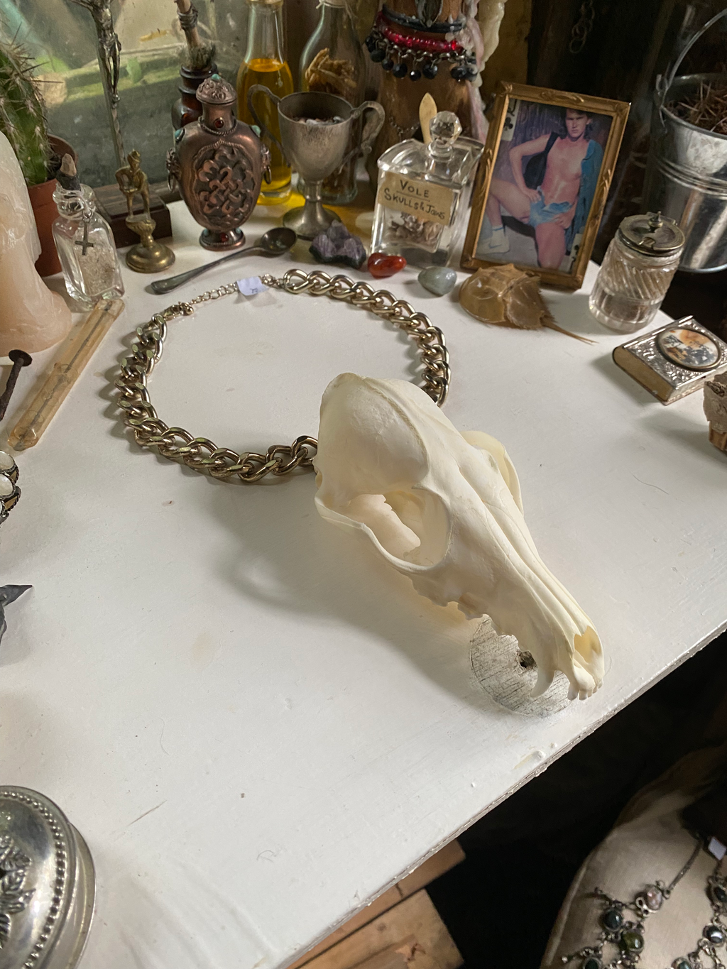 Large Fox Skull on Bronze Colour Chain image 0