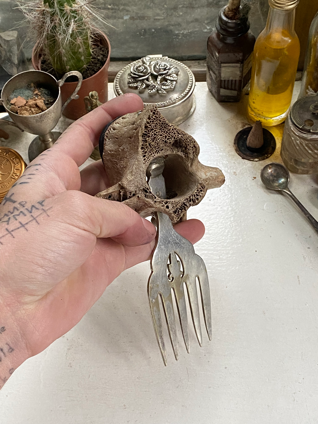 Fosillised Bone Hair Comb/Clip image 2