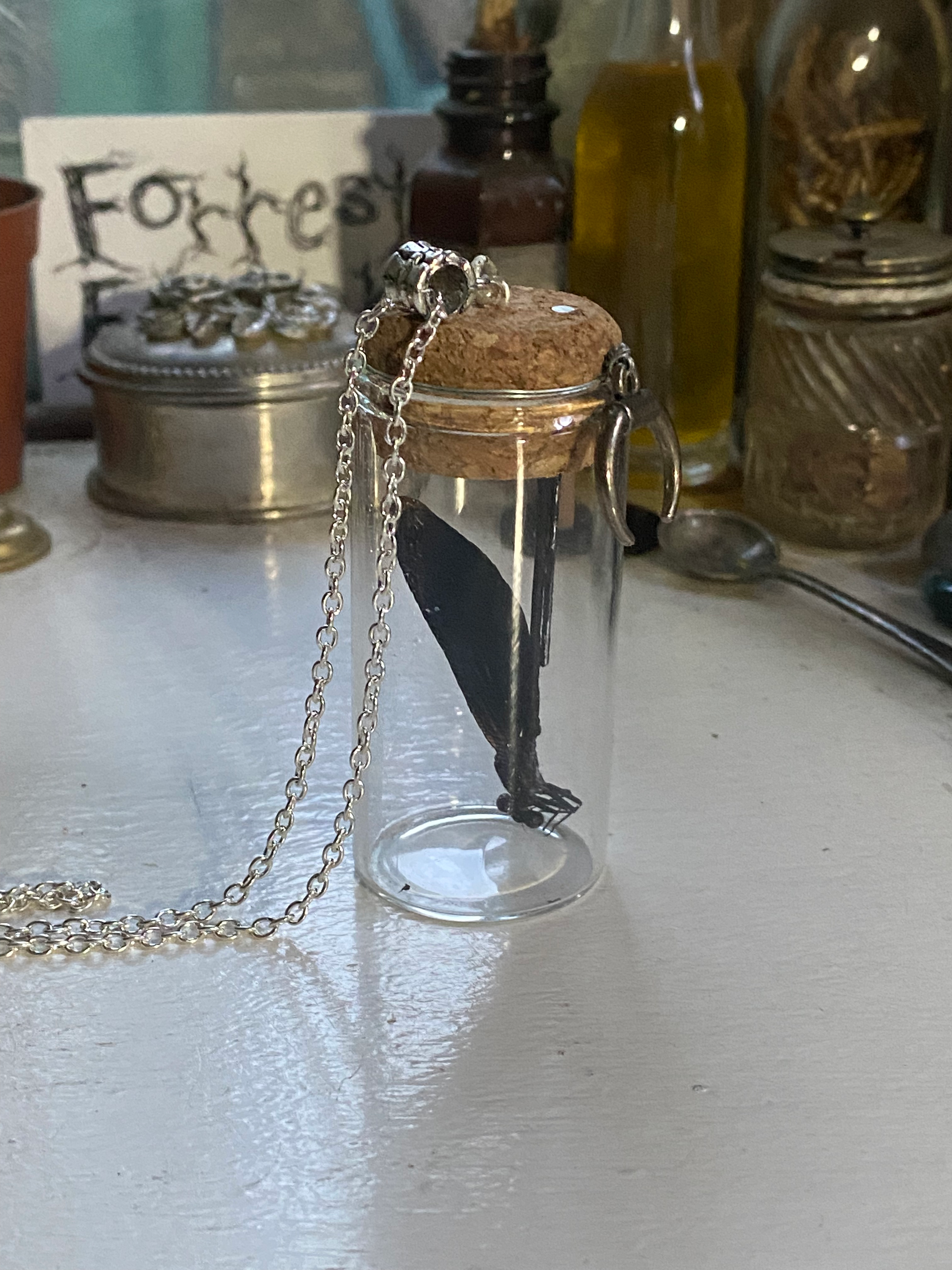 Dragonfly in Glass Jar Necklace image 3