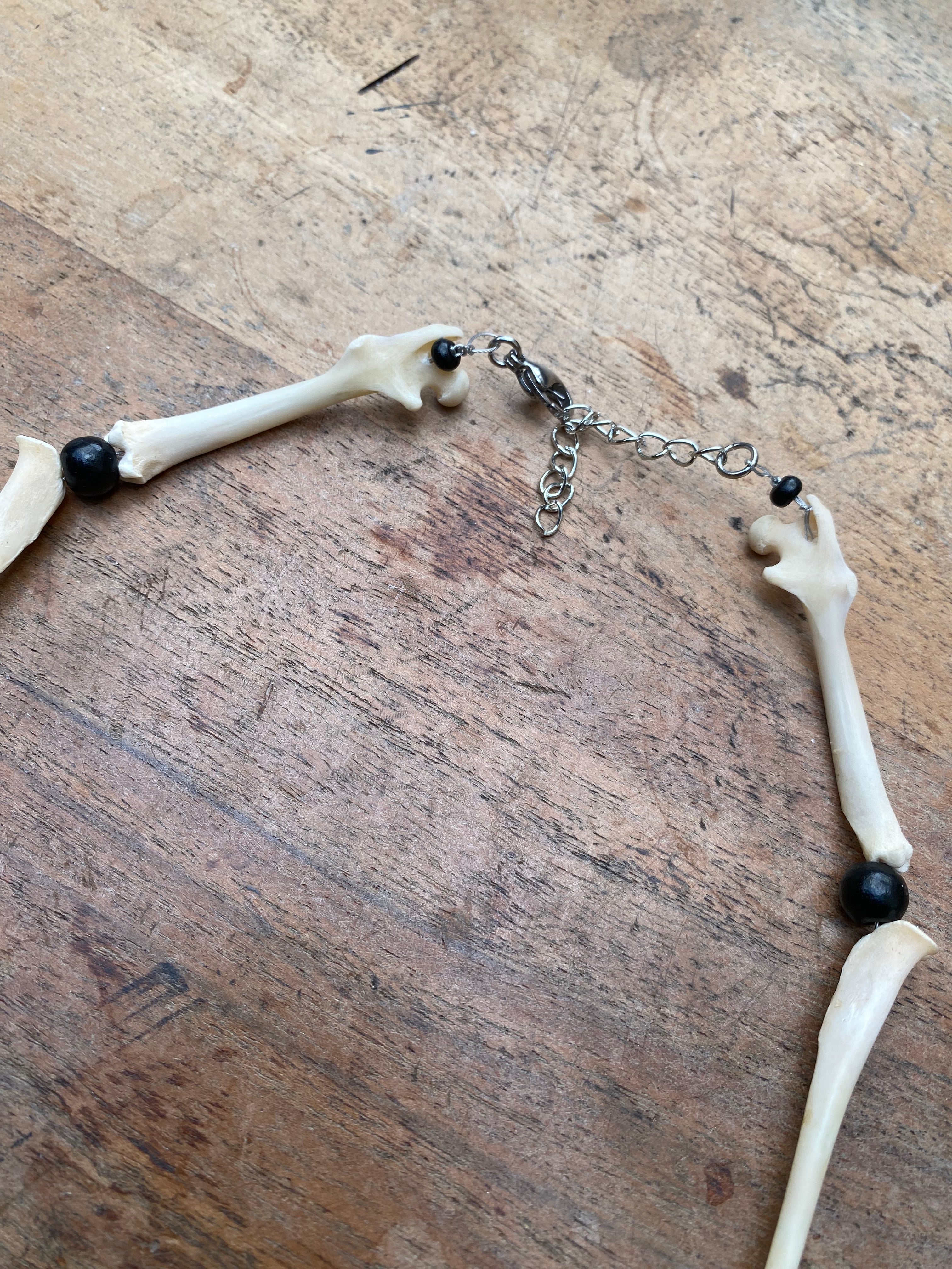 Squirrel Skull and Bones Necklace