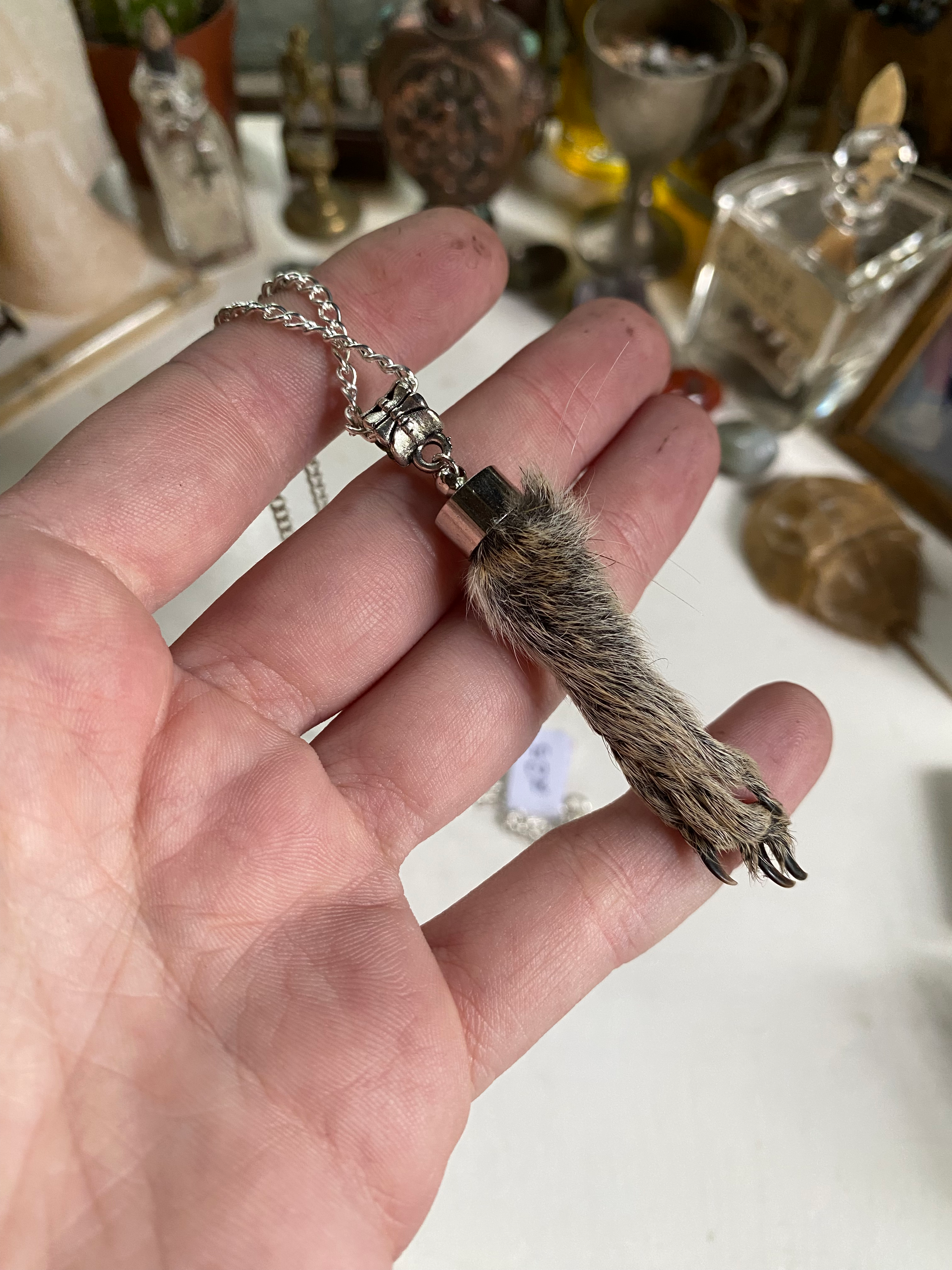 Squirrel Paw on a Chain image 3