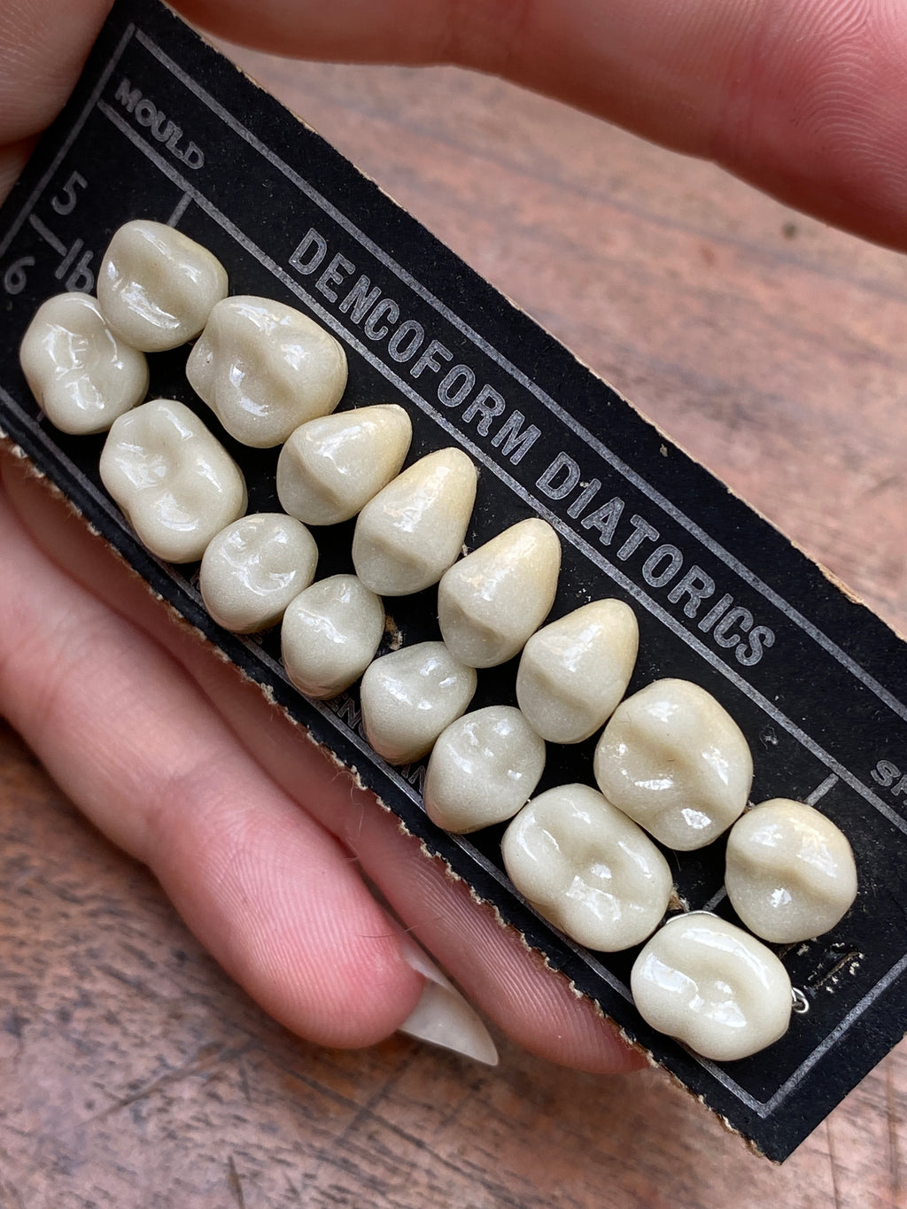 Vintage Ceramic Dentist Teeth Set