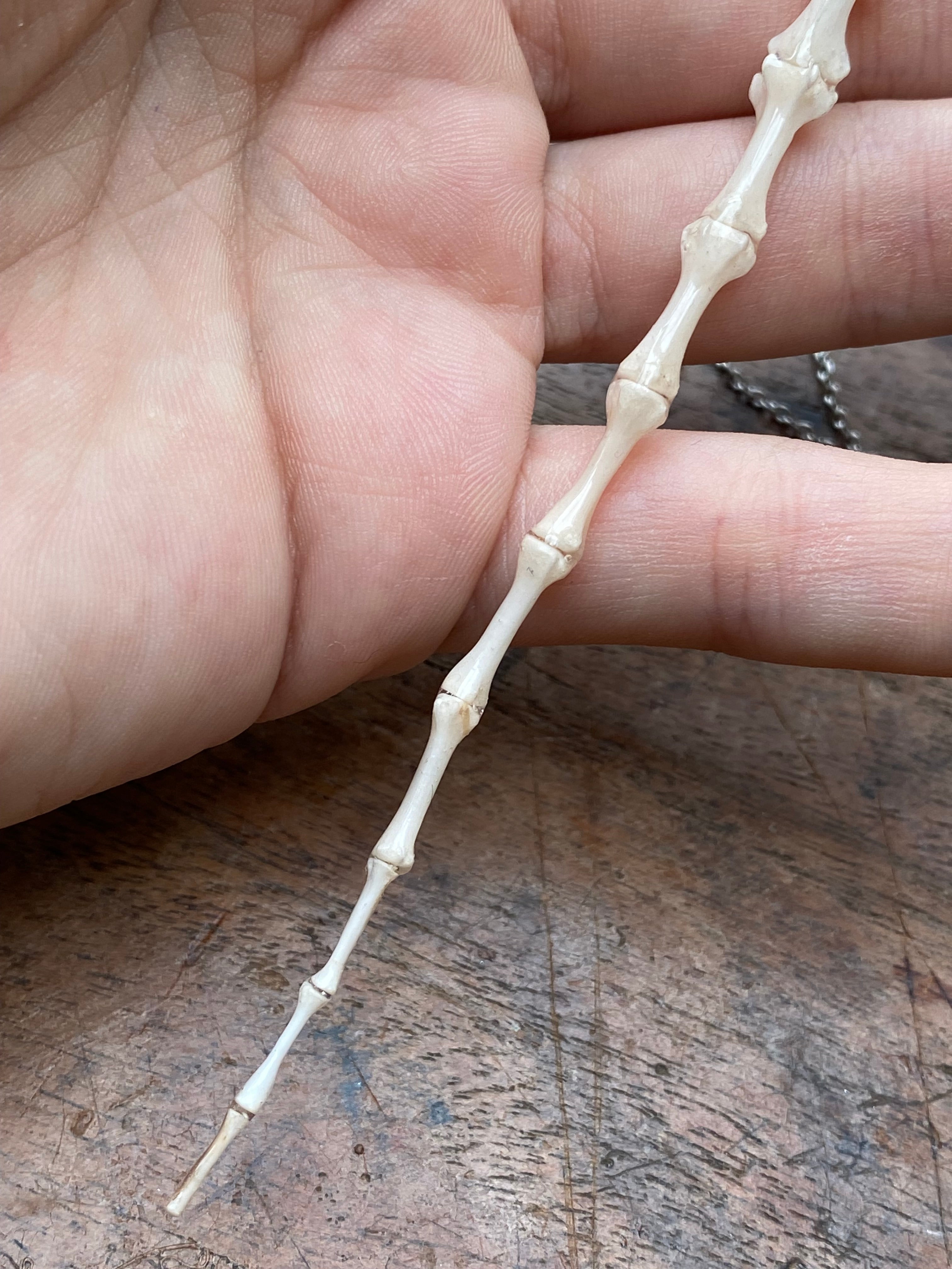 Complete Squirrel Tail Bones Pendant Necklace