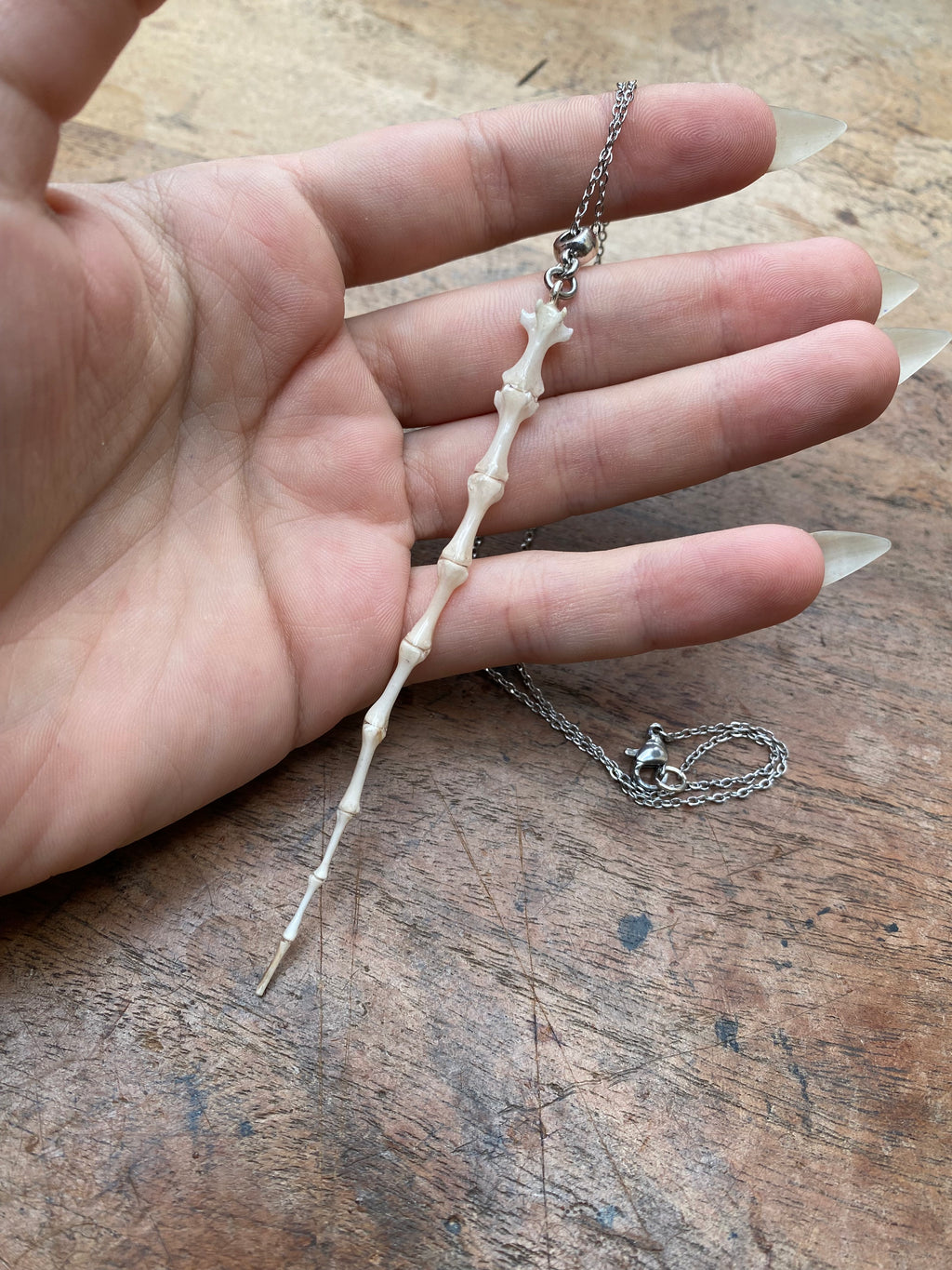 Complete Squirrel Tail Bones Pendant Necklace