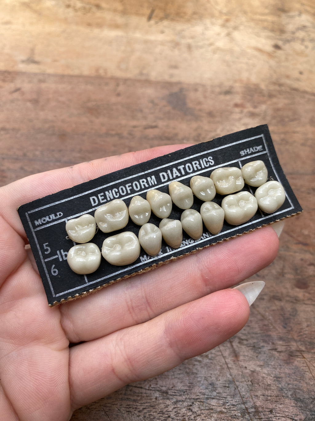 Vintage Ceramic Dentist Teeth Set