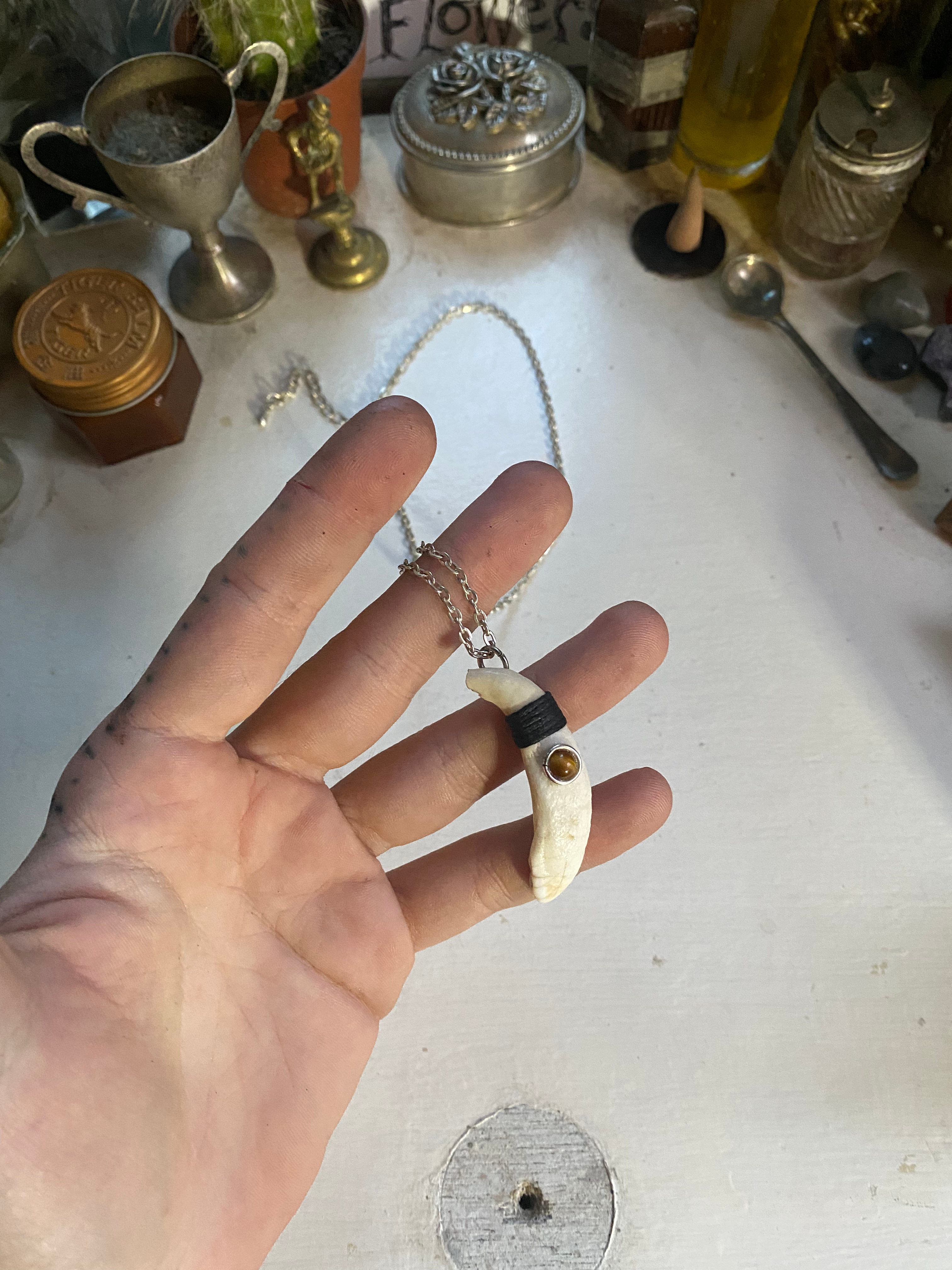 Wild Boar Tooth and Tiger Eye Necklace image 2