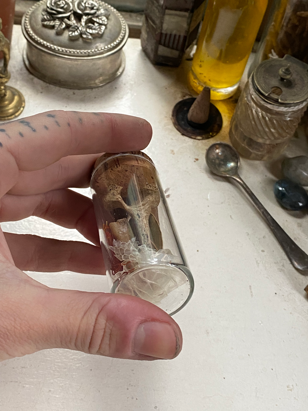 Oddity Filled Glass Jar image 2