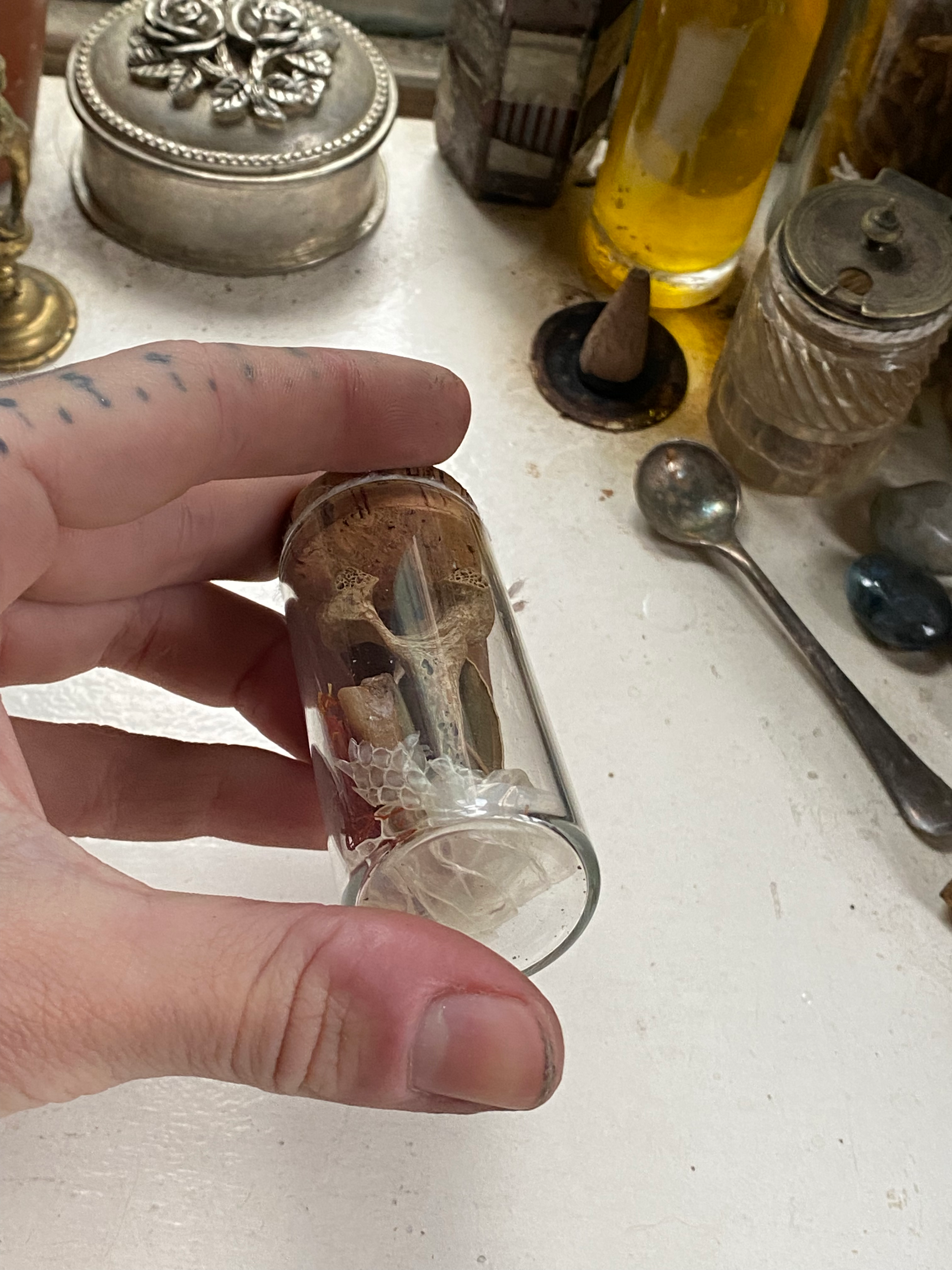 Oddity Filled Glass Jar image 2