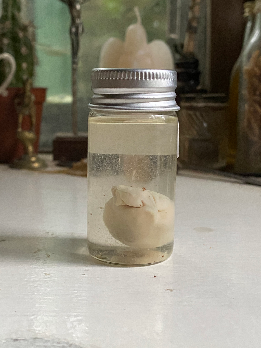 Rabbit Heart in a Small Jar image 3