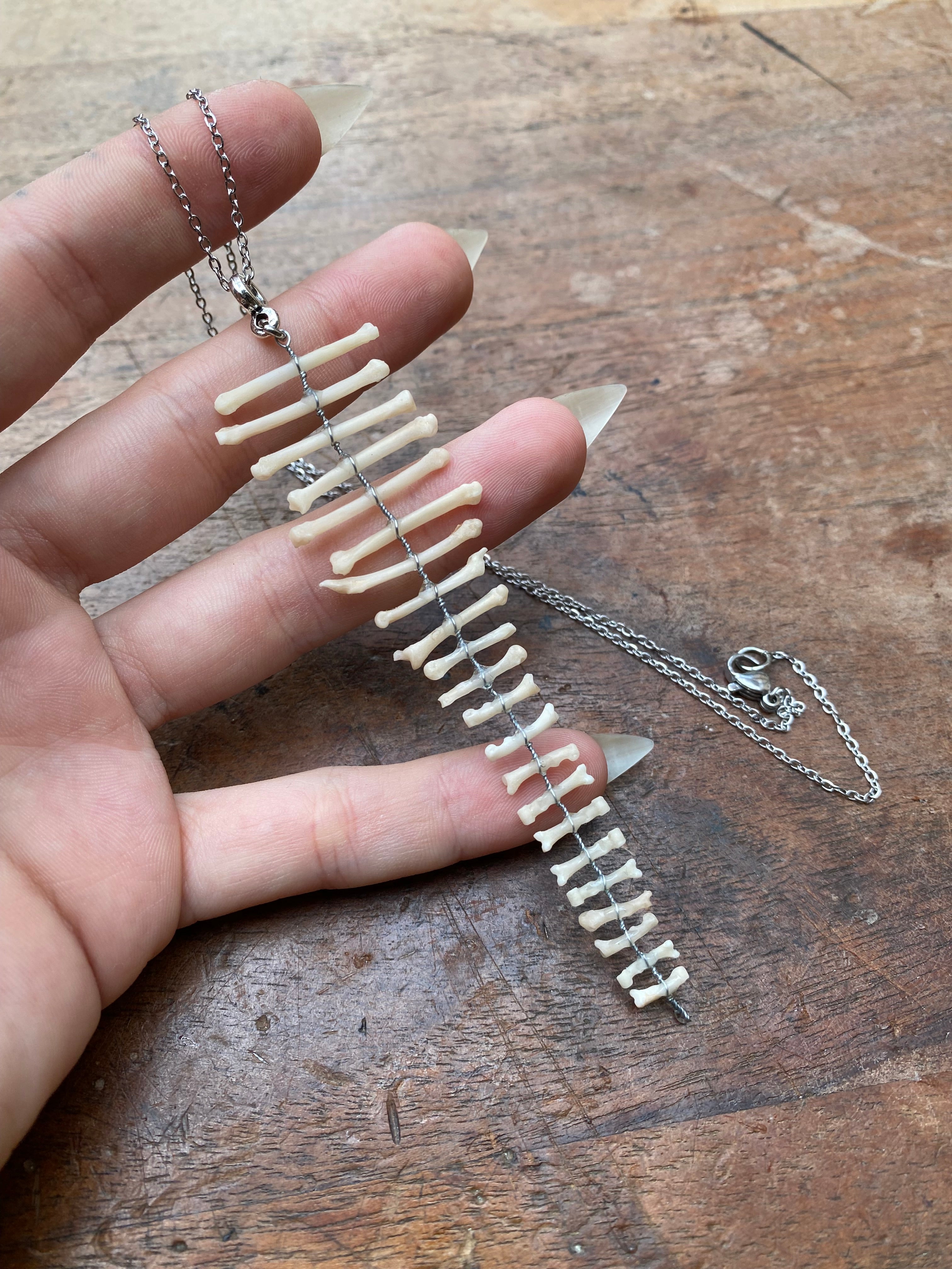Squirrel Paw and Toe Bones Pendant Necklace