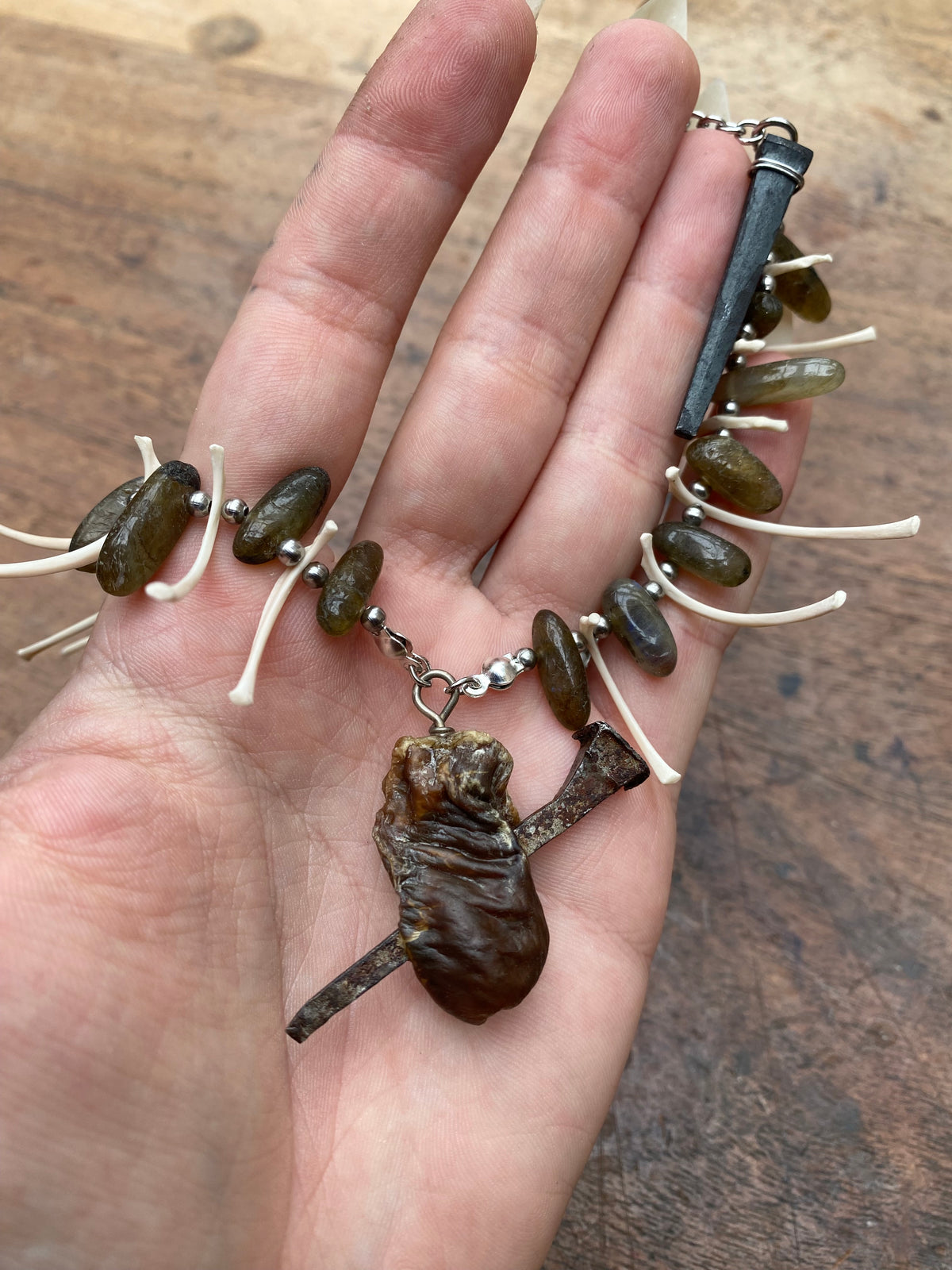 Pierced Mummified Crow Heart, Ribs Coffin Nails and Labradorite Necklace