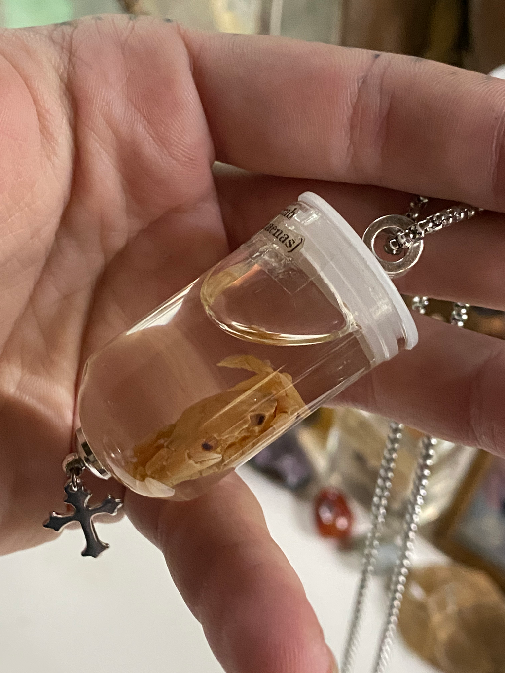 Shore Crab Wet Specimen in Glass Necklace image 4