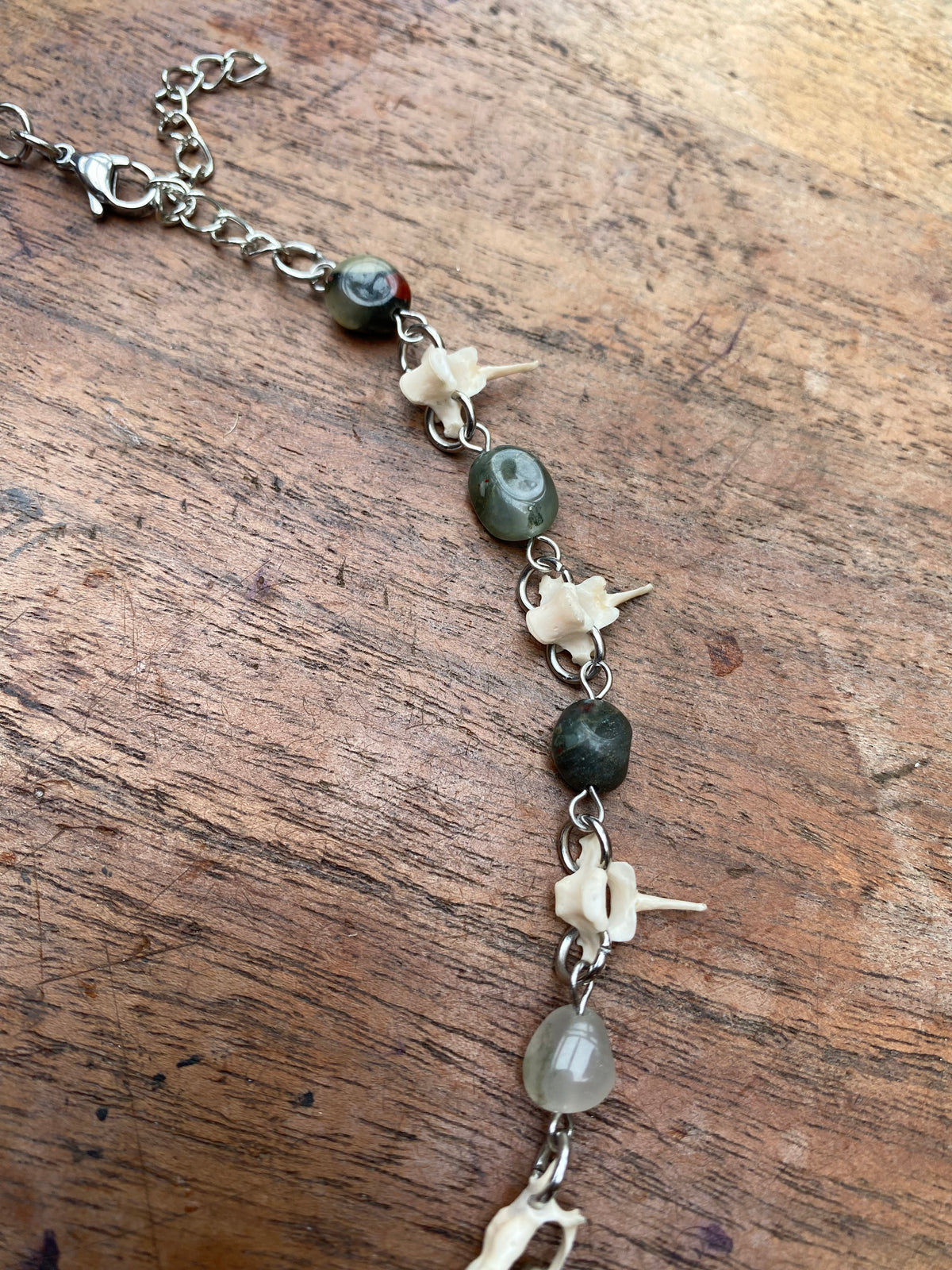Indian Agate, Squirrel Vertibrae and Femurs Necklace