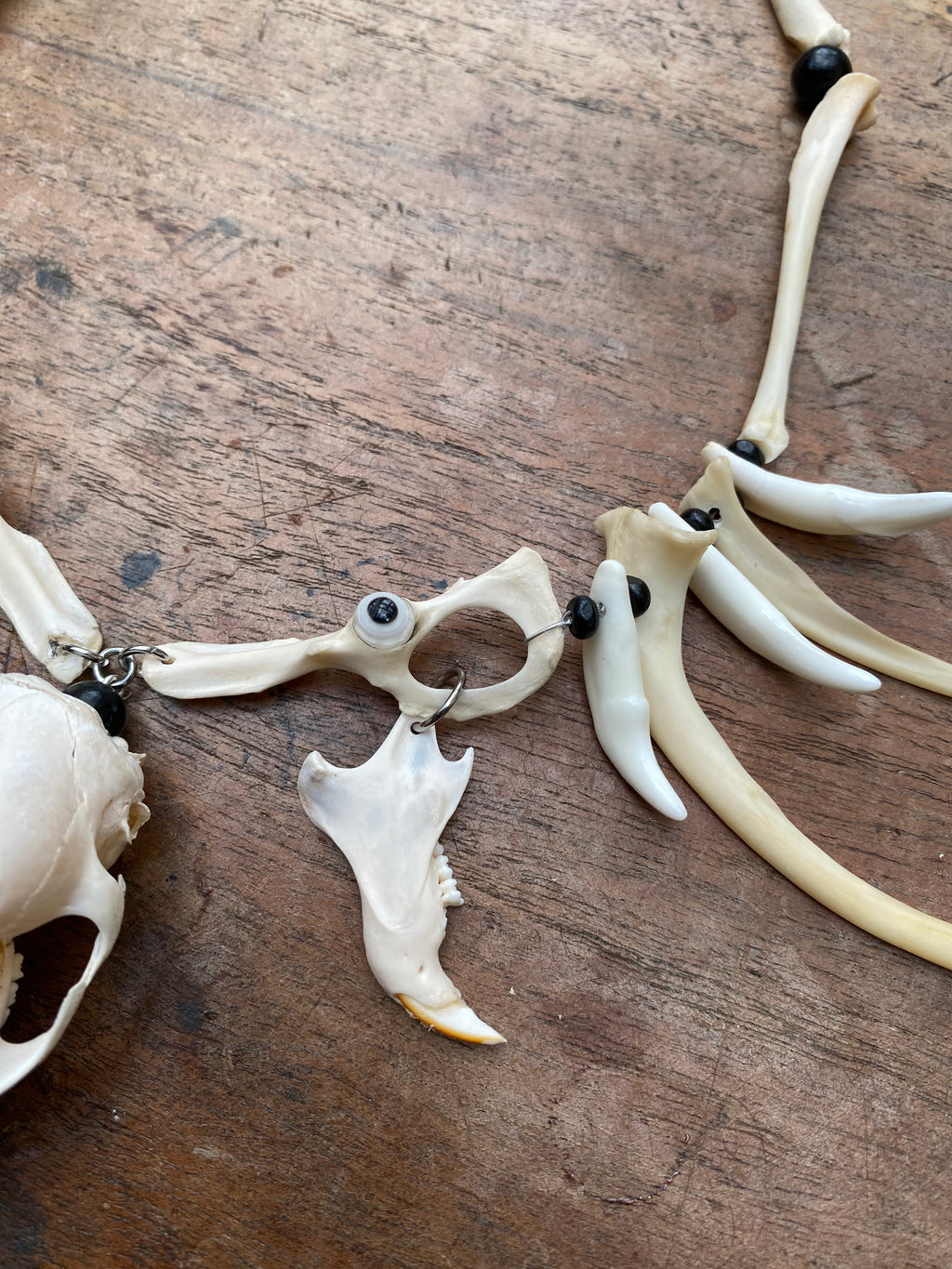 Squirrel Skull and Bones Necklace