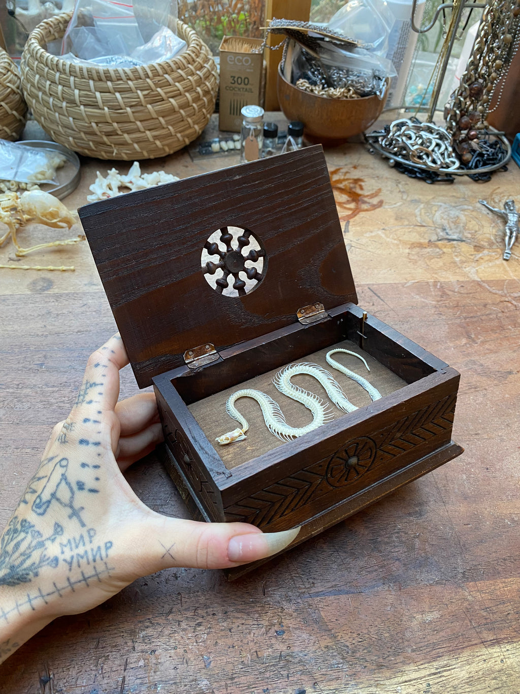 Wooden Musical Box with Snake Skeleton