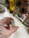 White Beetle in Small Glass Dome image 0