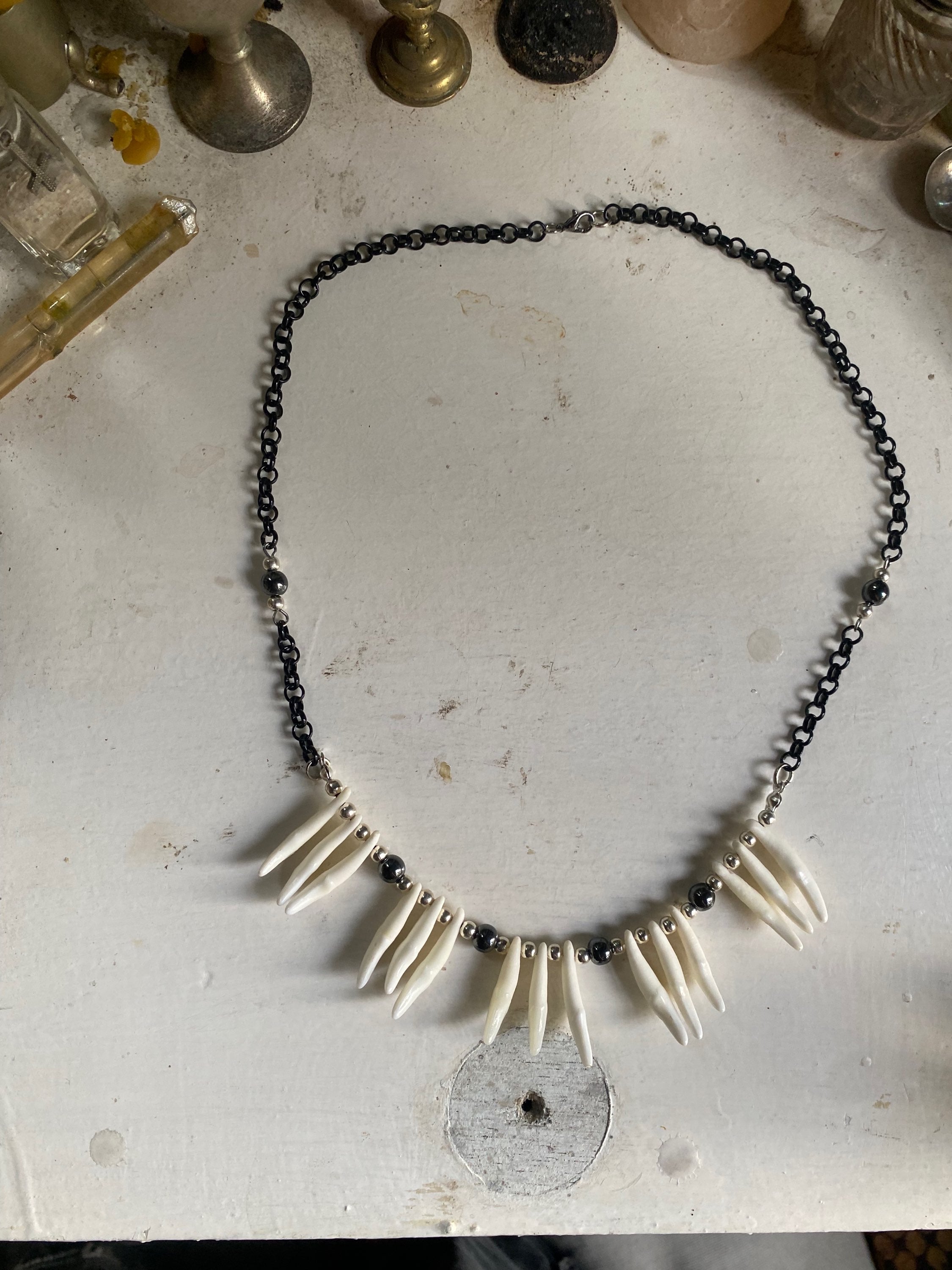 Coyote Teeth and Black Chain Necklace image 2