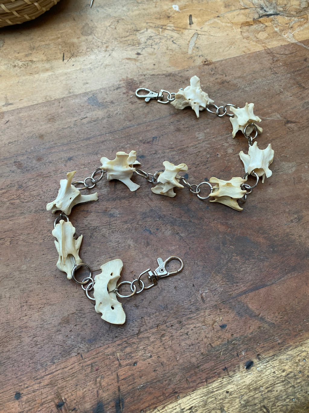 Fox Vertebrae Belt Chain or Necklace