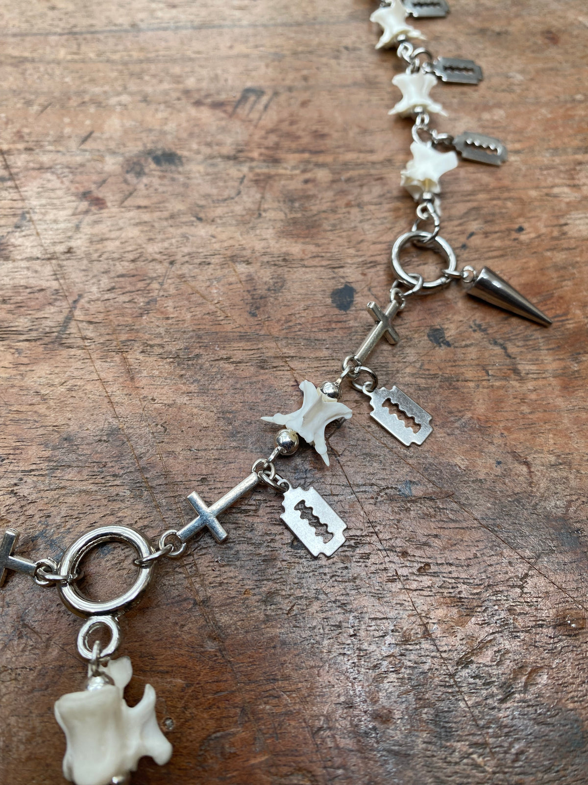 Crow Skull & Vertibrae Necklace with Openable Glass Vial