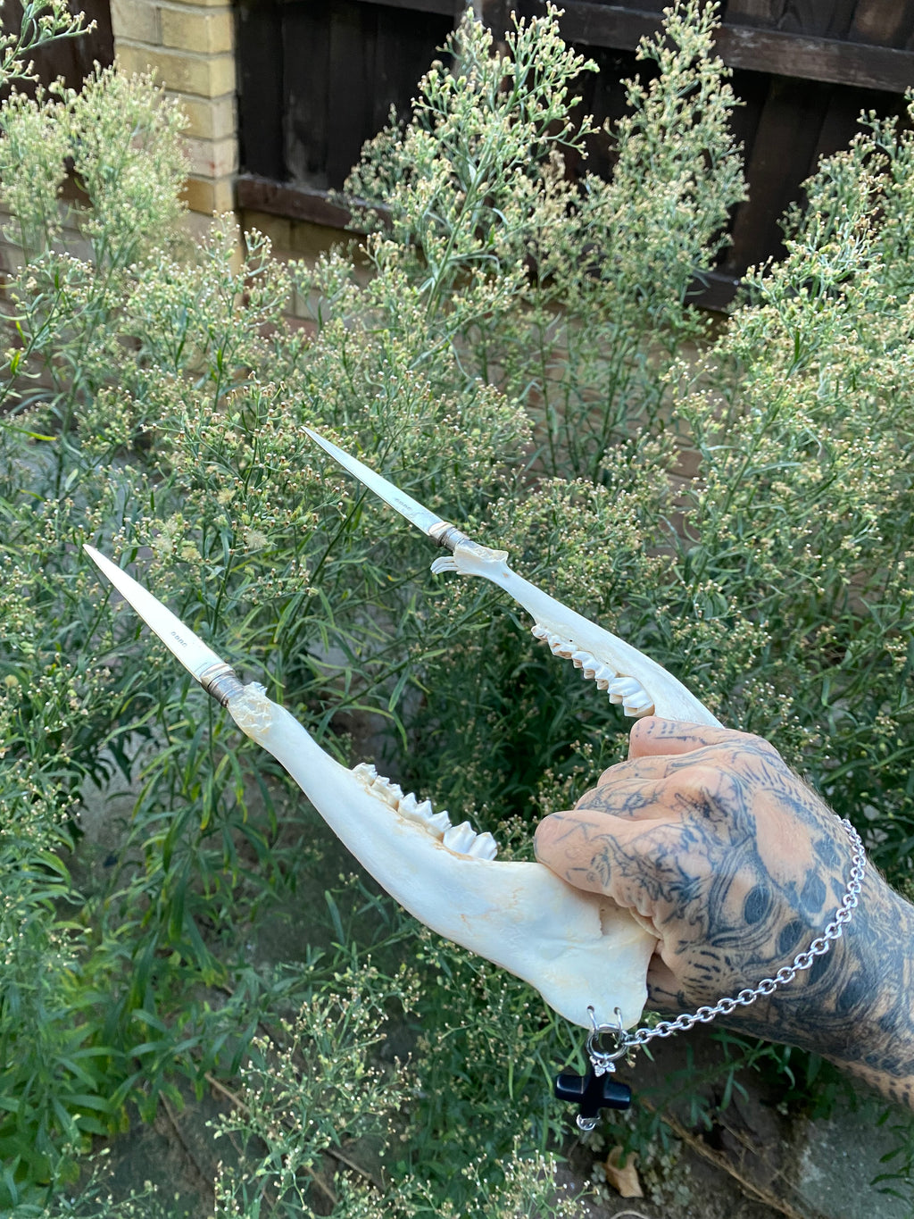 Double Deer Jaw Dagger with Inverted Crosses and Chain