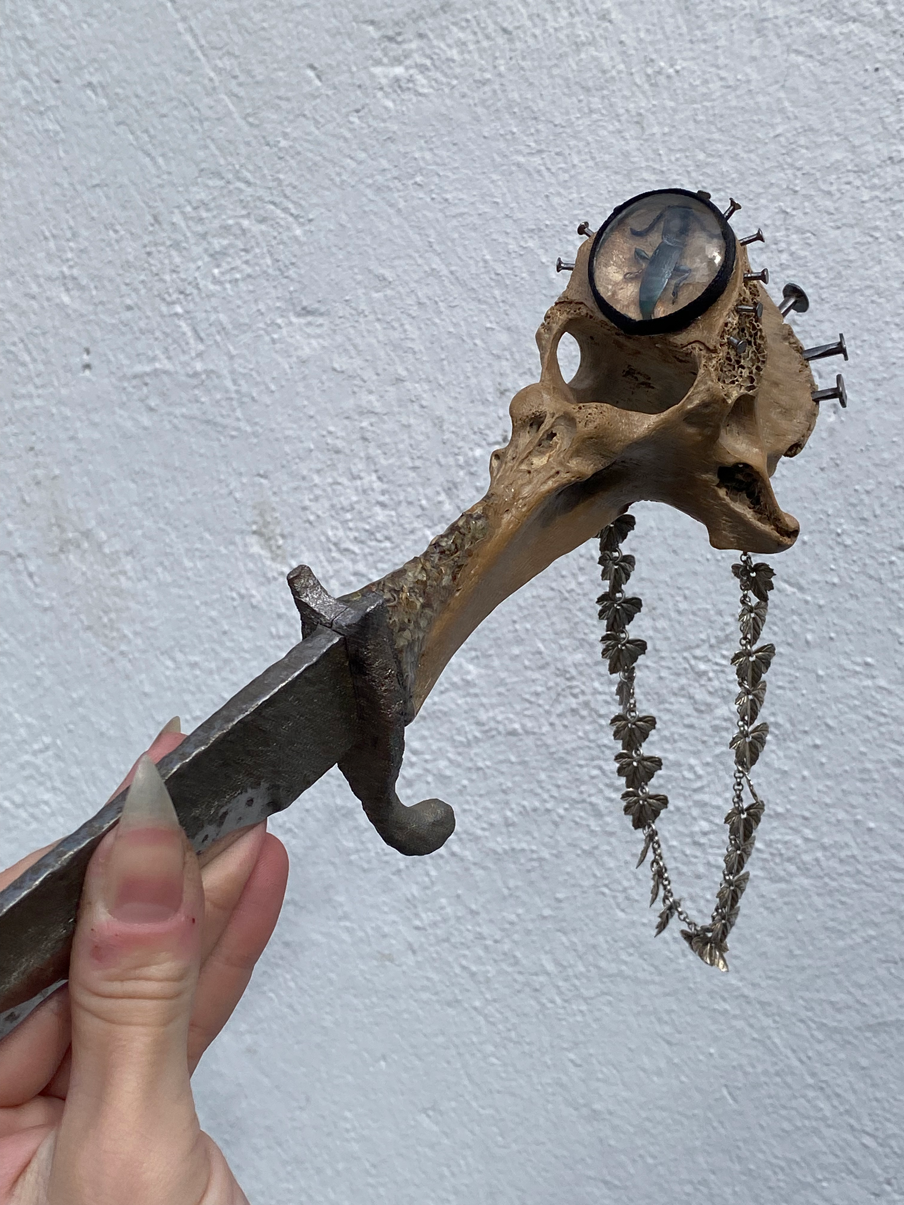 Large Vertibrae Sword with Blue Beetle, Coffins Nails, Silver Chain image 4