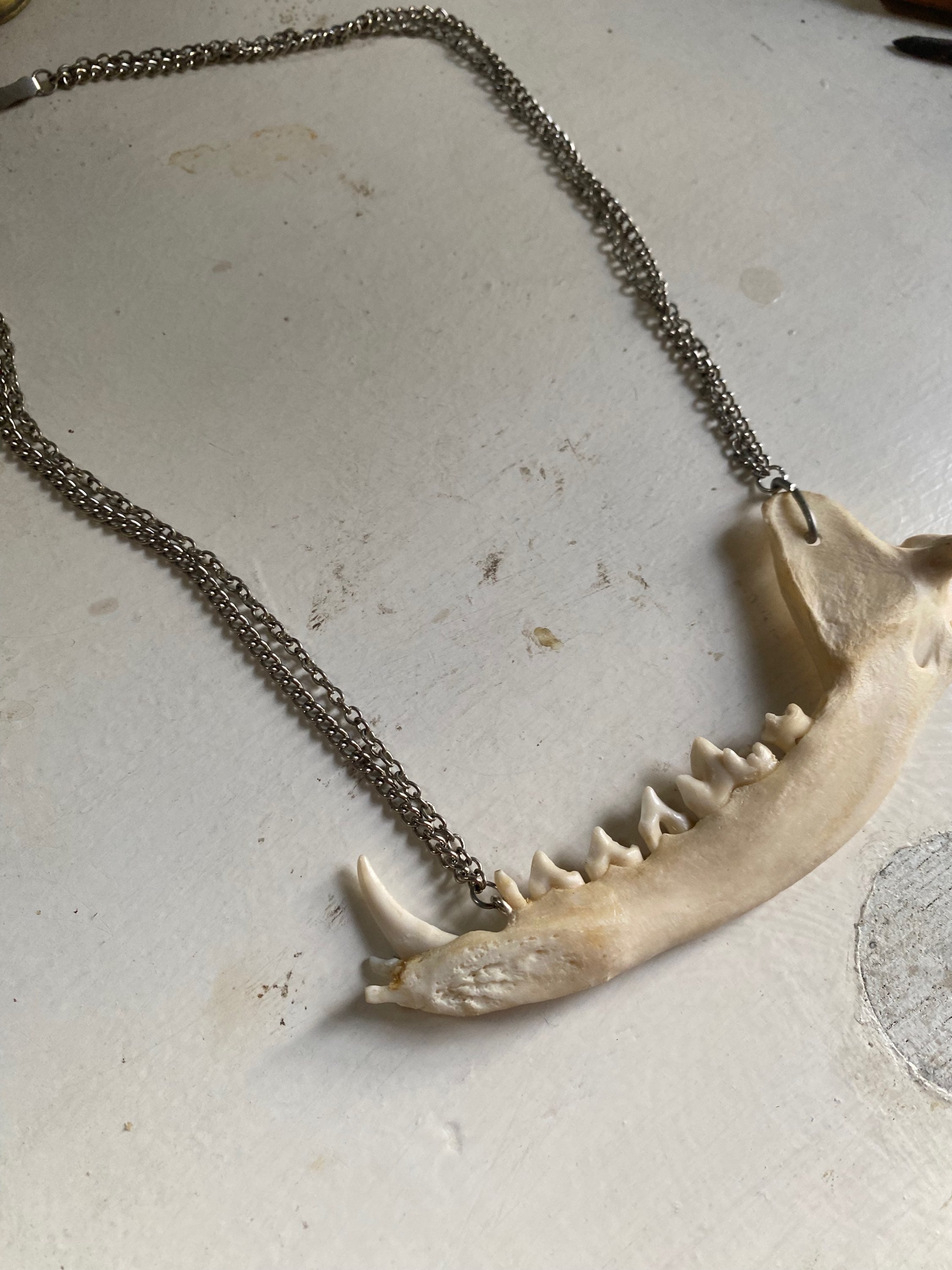 Fox Jaw Double Chain Necklace image 2