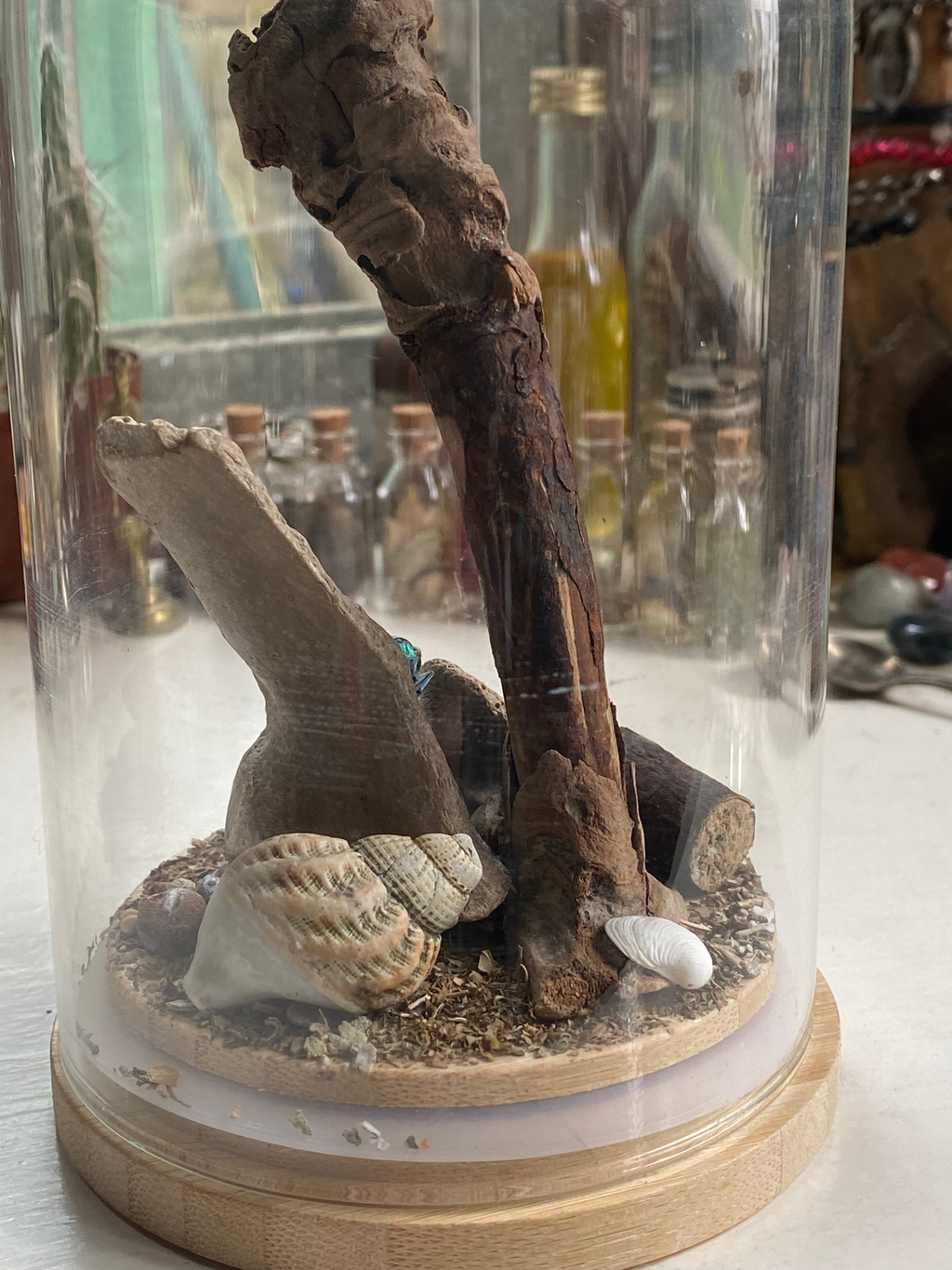 Blue Beetle Diorama image 3