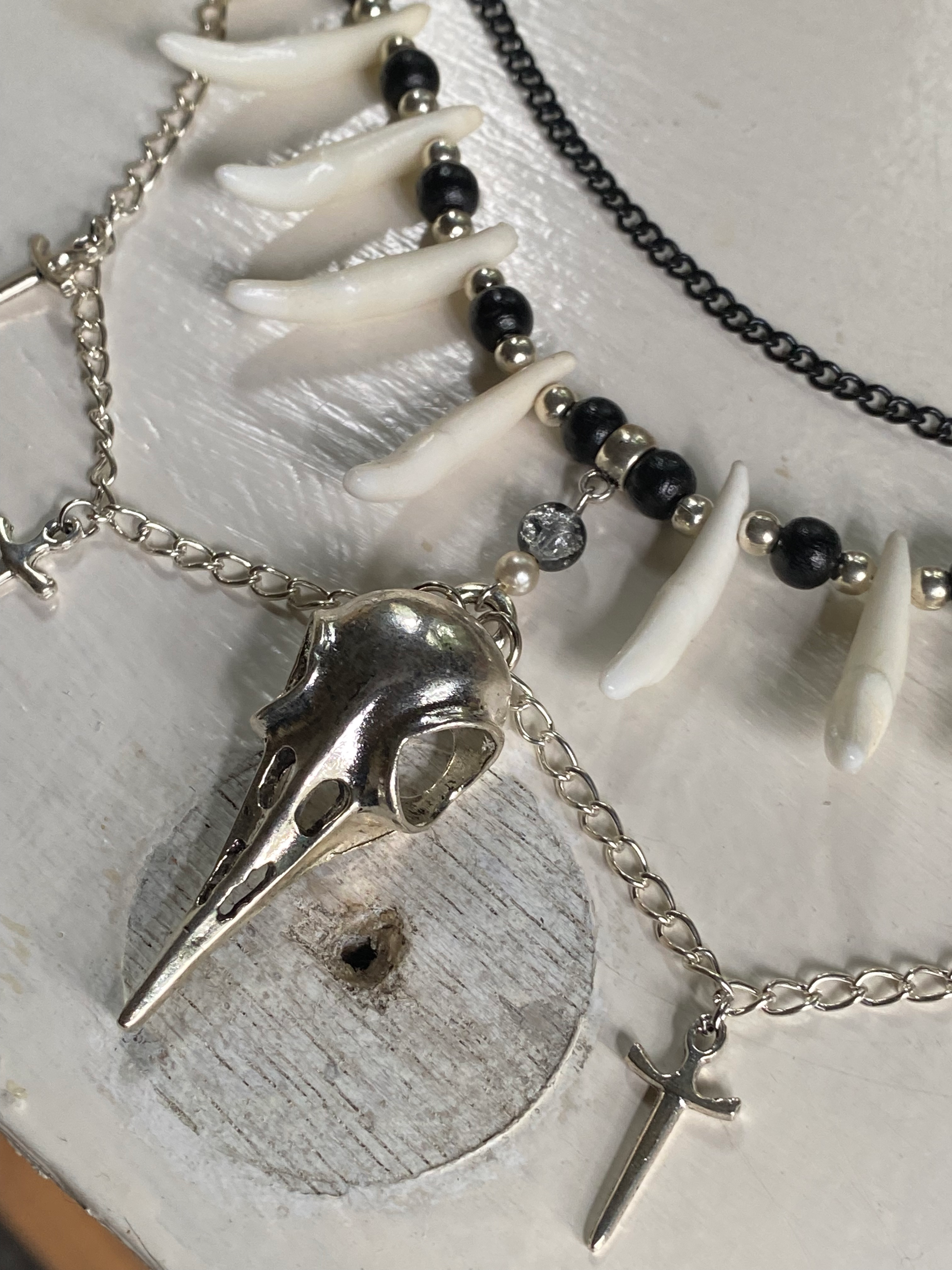 Coyote Teeth, Bird Skull and Chunky Black Chain image 3