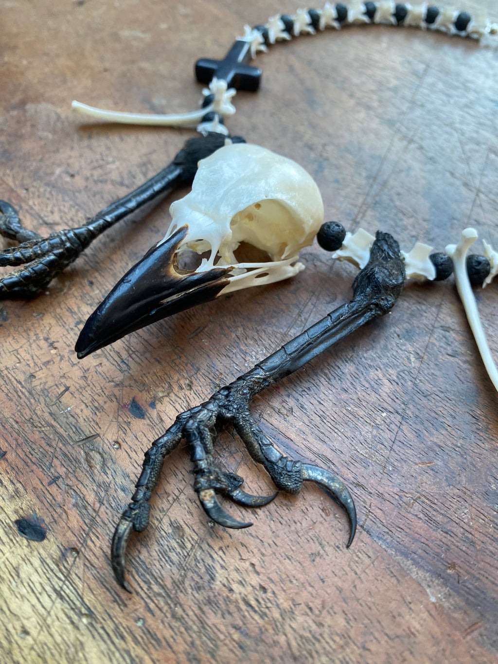 Crow Skull and Feet Necklace with Snake Vertibrae and Lava Rock